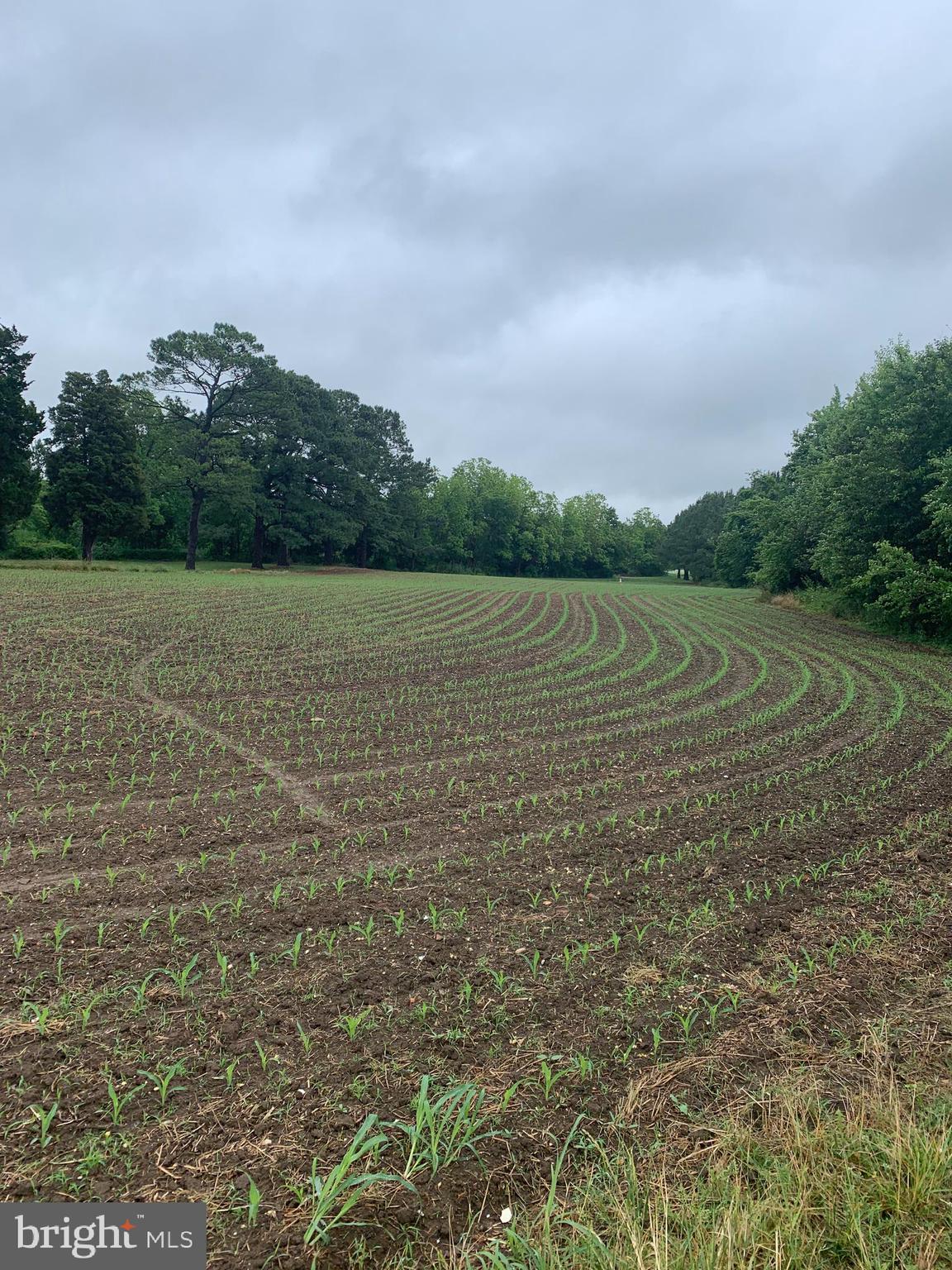 NEWCOMB - Residential