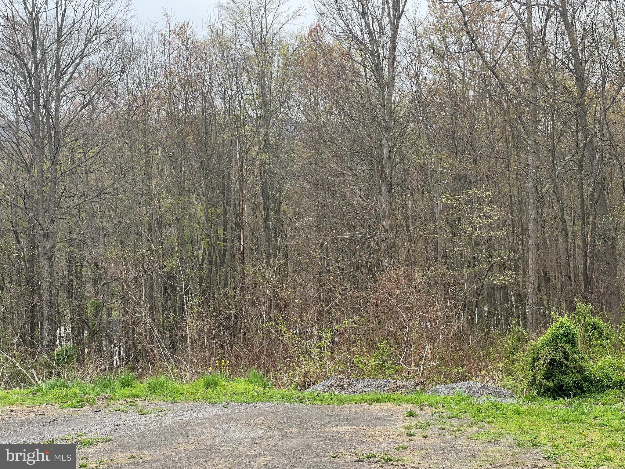 LOT # 15 RIDGE WAY DRIVE