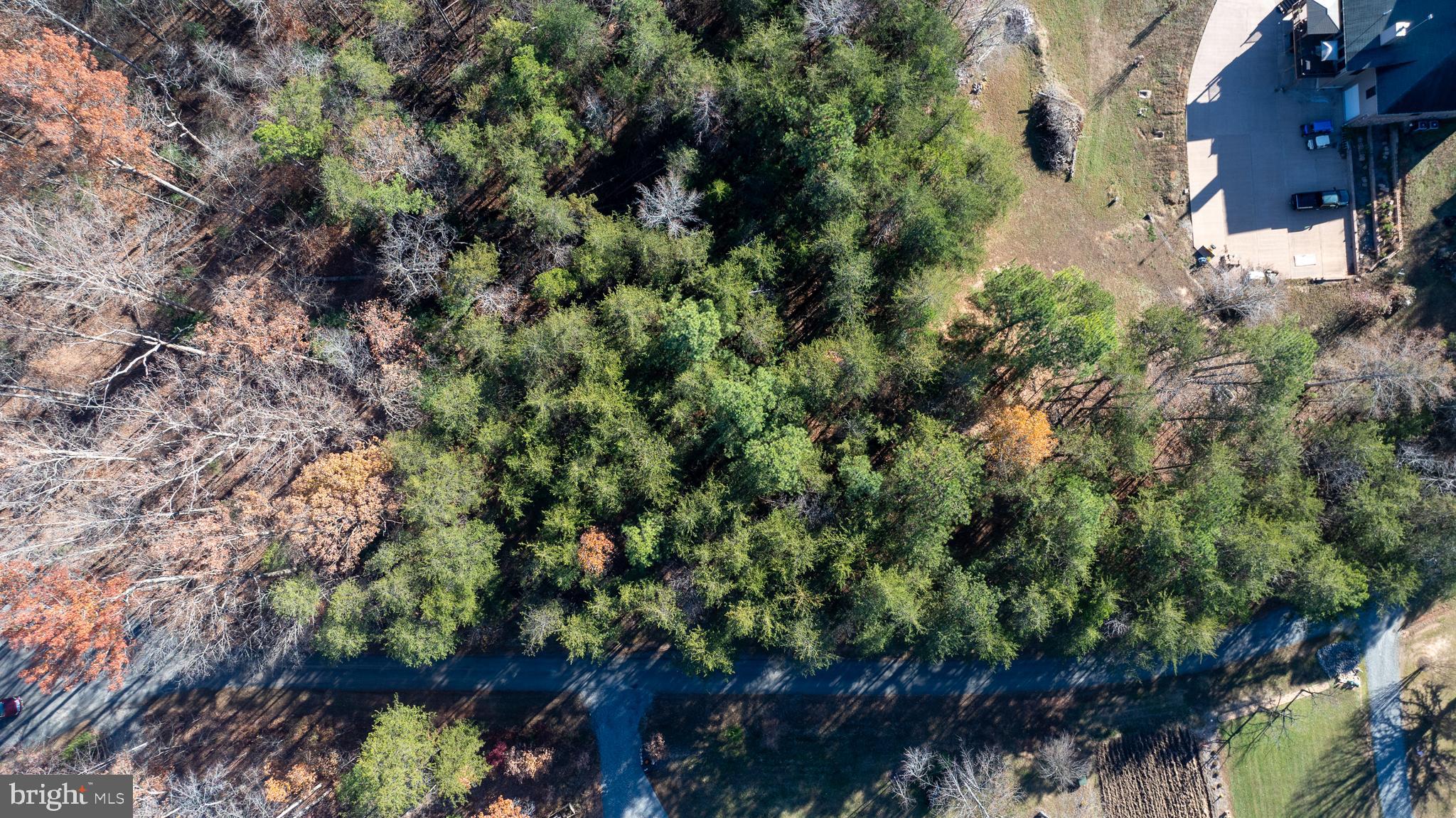 WILDWOOD ON LAKE ANNA - Land