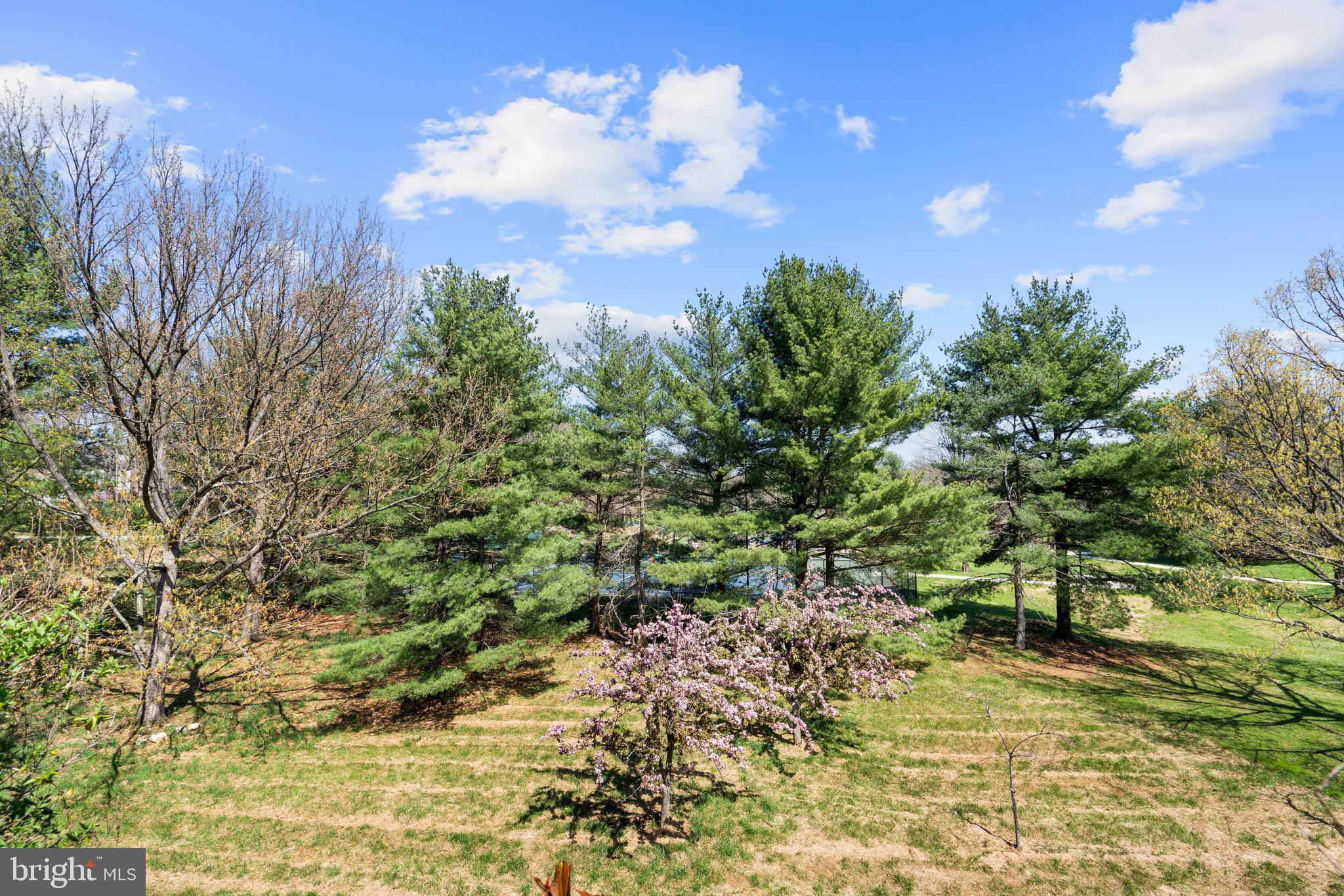 PARK OVERLOOK - Residential Lease