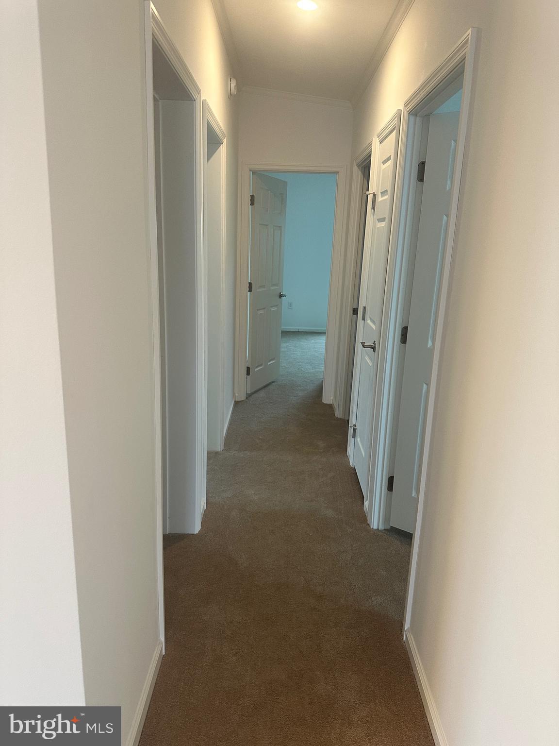 36 EVERGREEN ALLEY