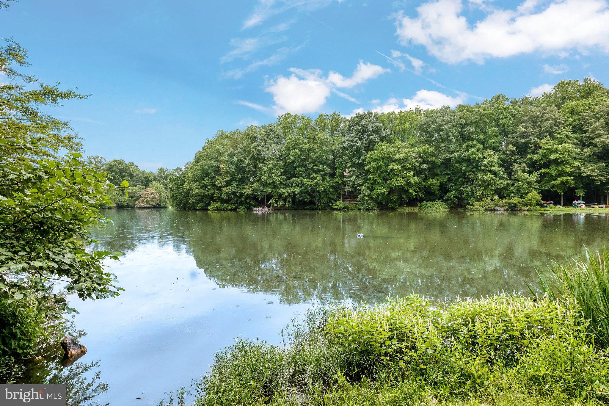 LAKE BRADDOCK - Residential Lease