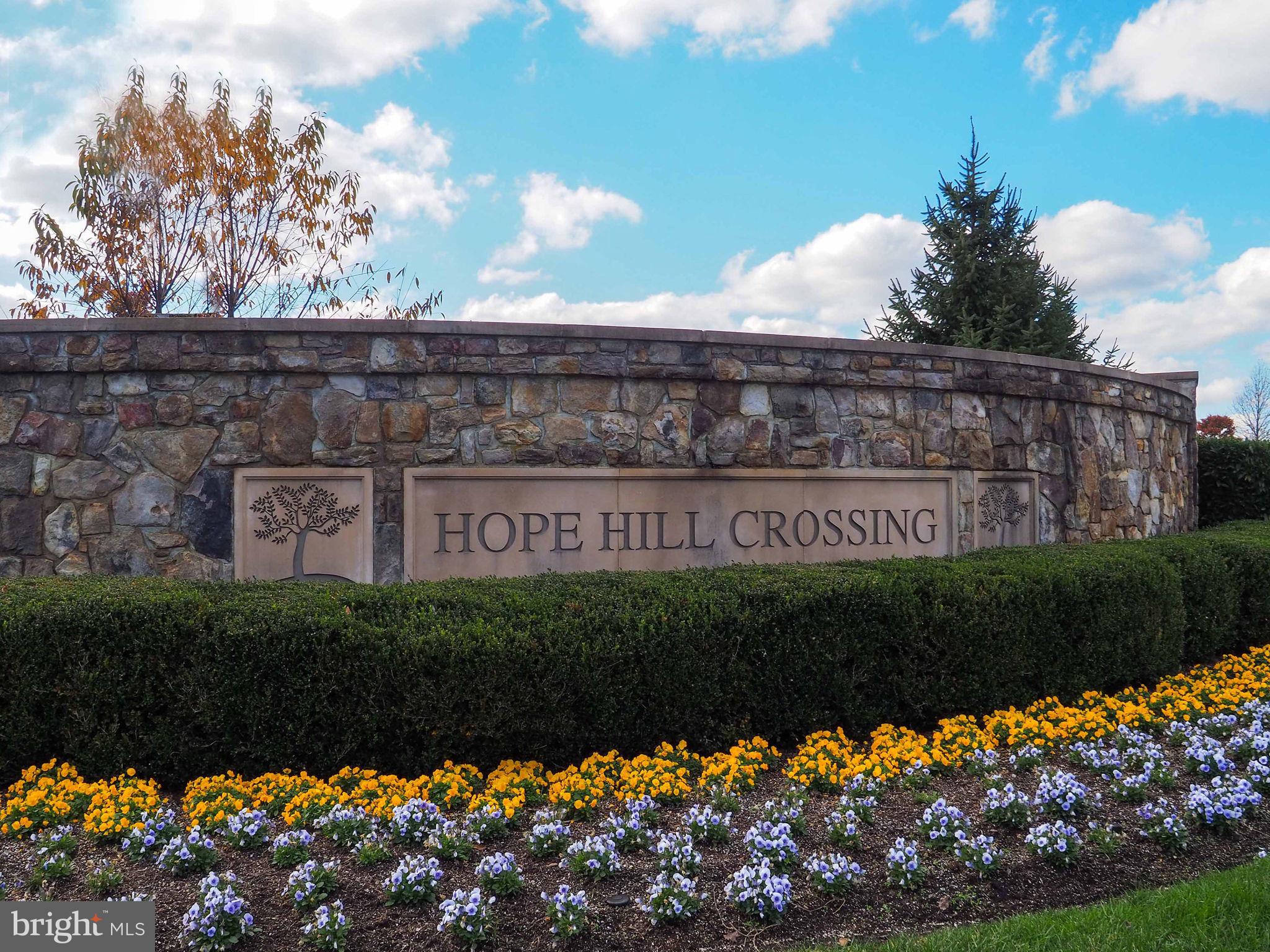 MEADOWS AT HOPE HILL CROSSING - Residential