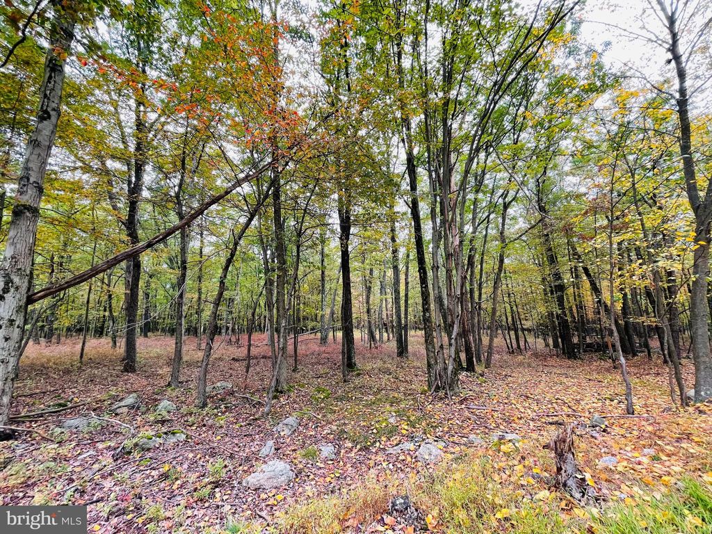 Photo of 521 Haystack Drive, ZION GROVE, PA 17985 (MLS # PASK2025194)