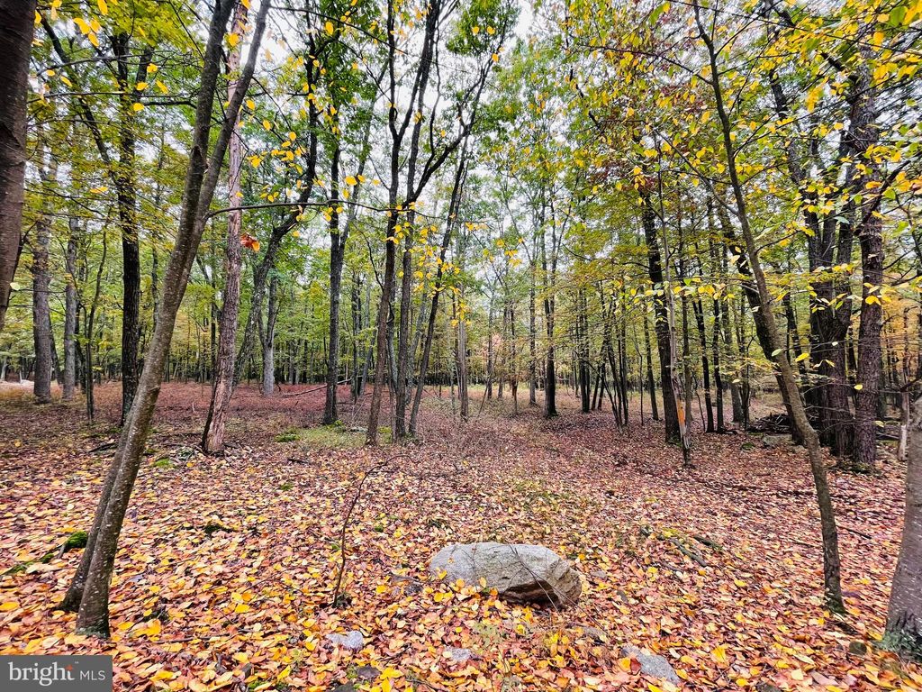 Photo of 521 Haystack Drive, ZION GROVE, PA 17985 (MLS # PASK2025194)