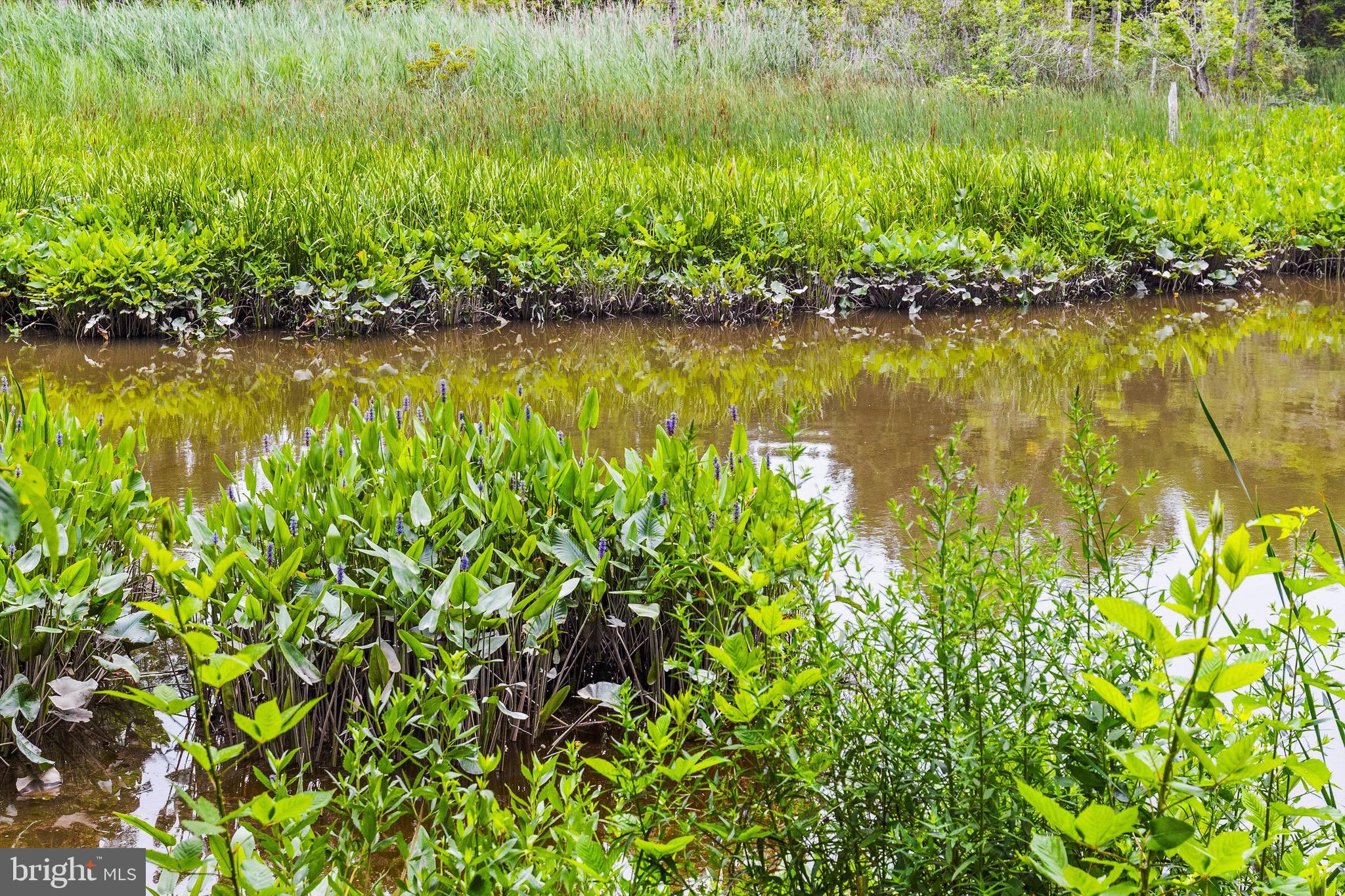 HIGH BANKS ESTATES - Residential