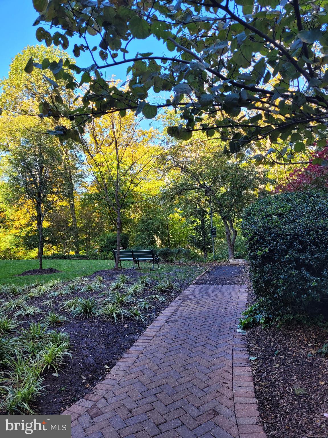 FRIENDSHIP HEIGHTS - Residential