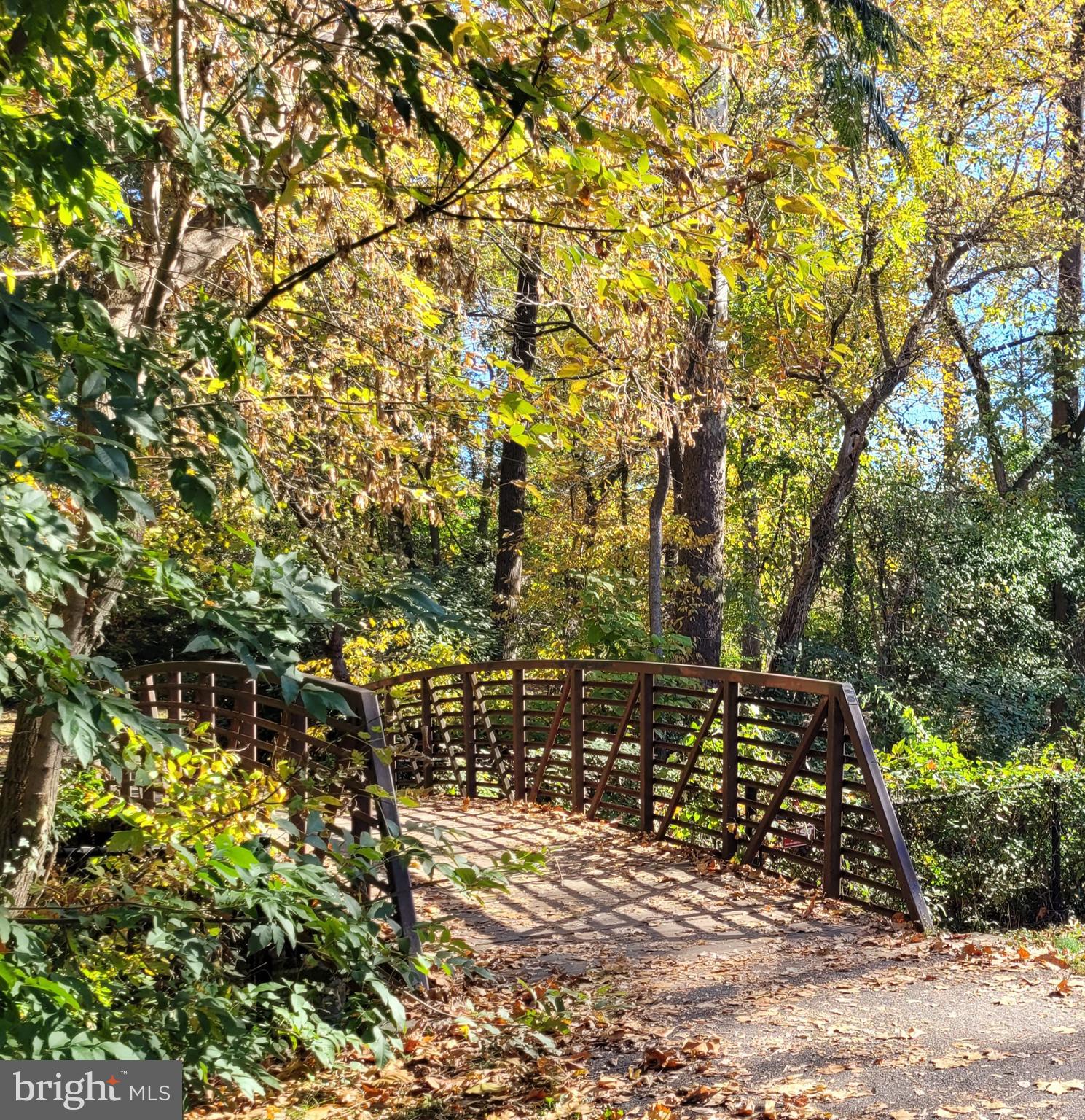 FRIENDSHIP HEIGHTS - Residential