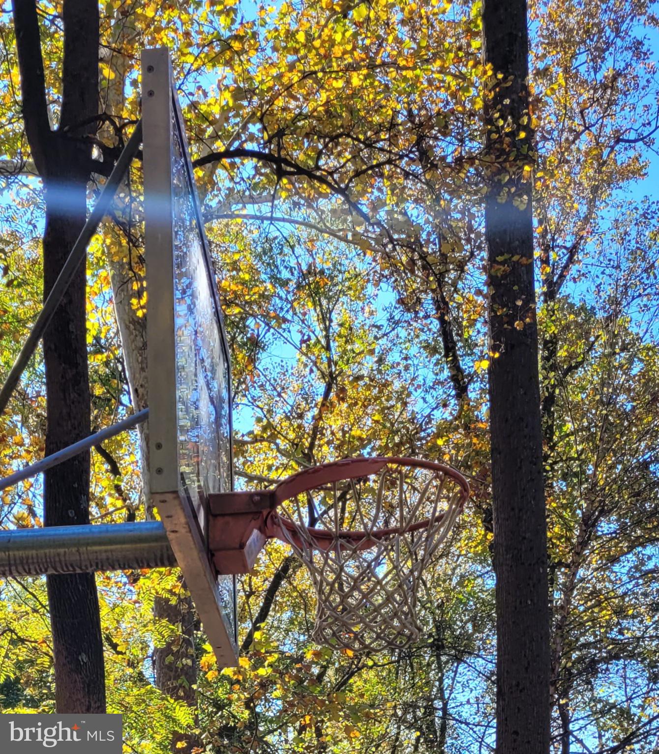 FRIENDSHIP HEIGHTS - Residential