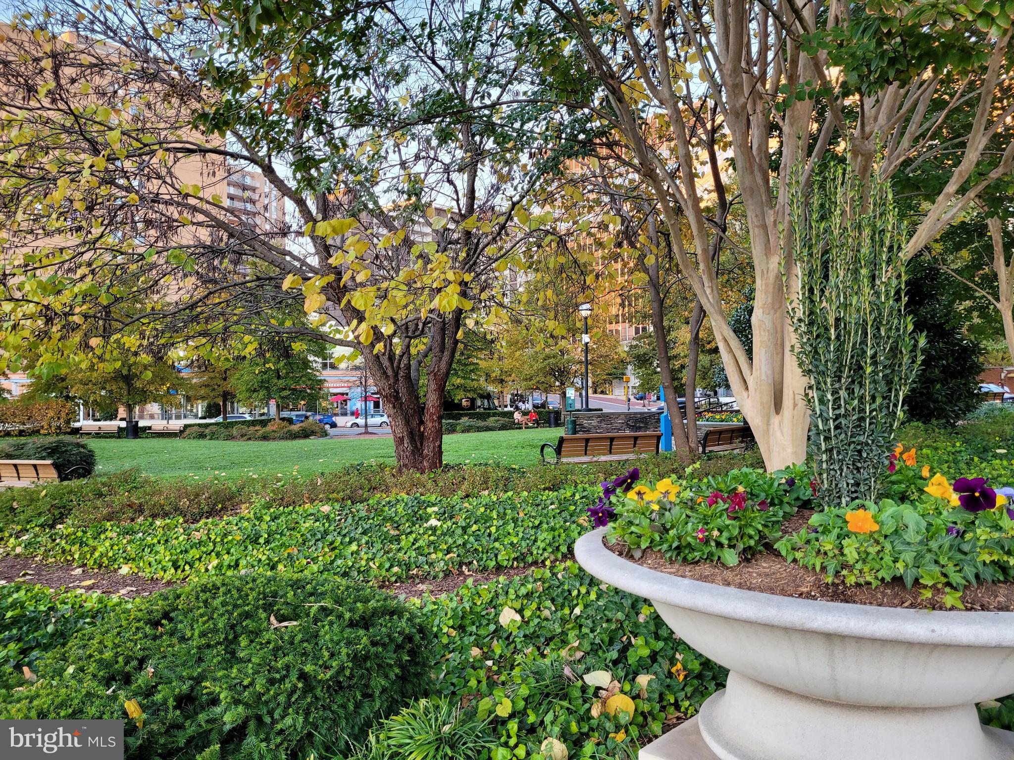 FRIENDSHIP HEIGHTS - Residential