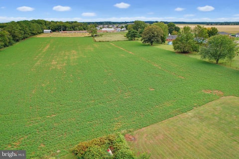 Vacant Land For Sale - Walnut Shade Road<br/> MAGNOLIA, DE 19962