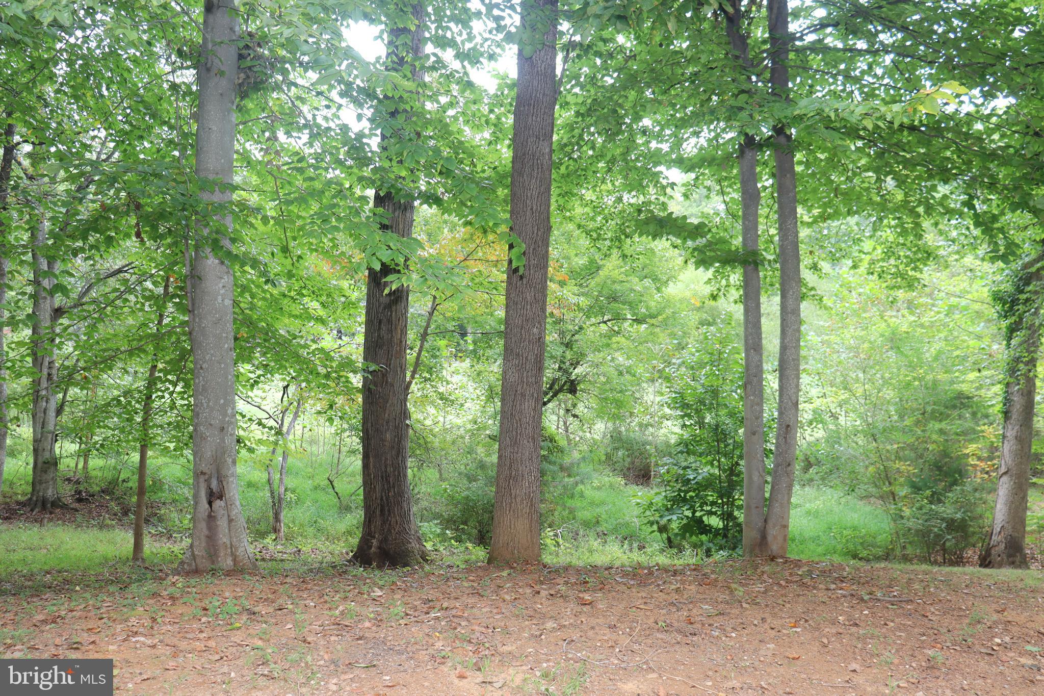 LAKE OF THE WOODS - Residential