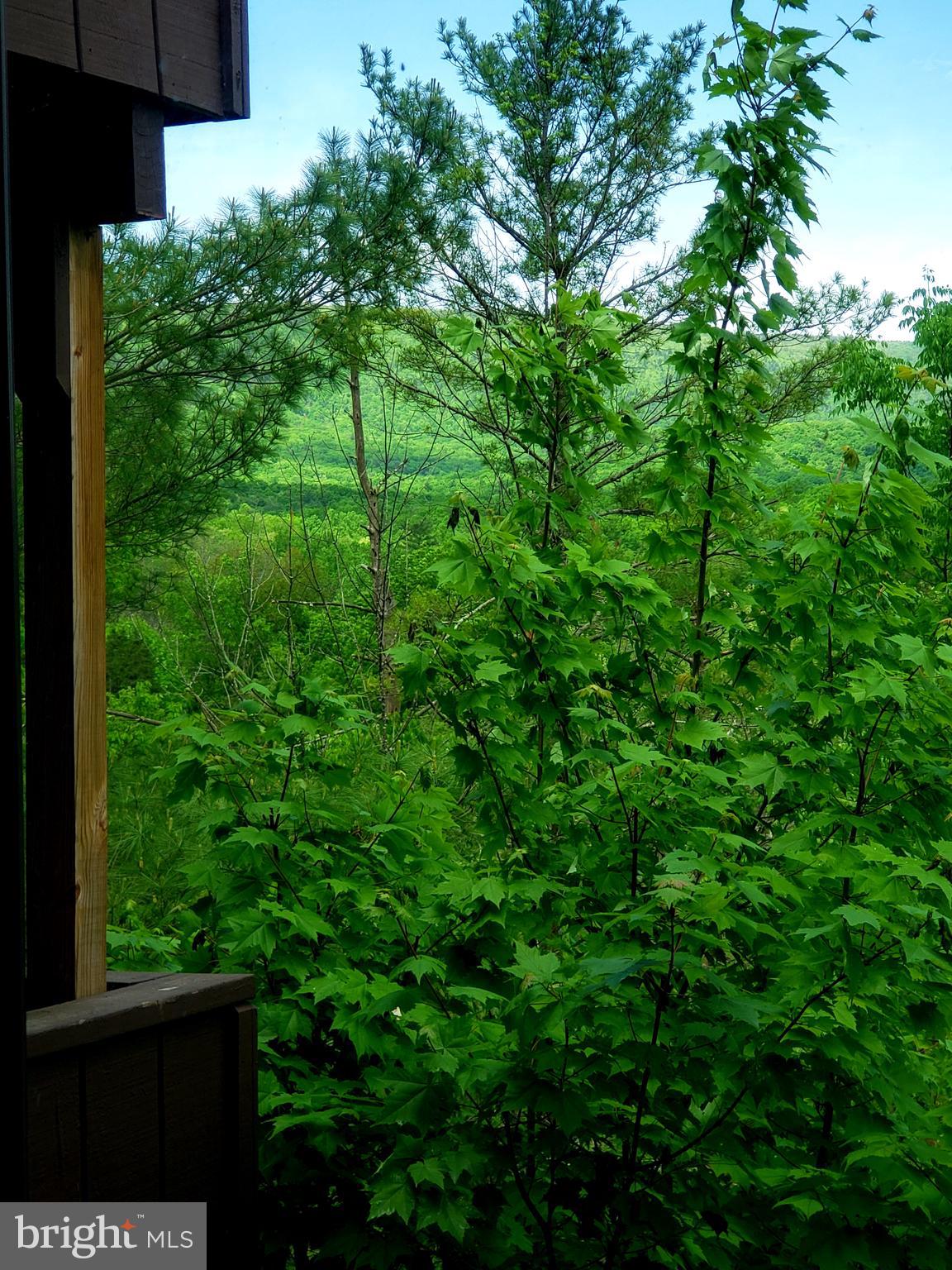 THE HILL CONDOS - Residential