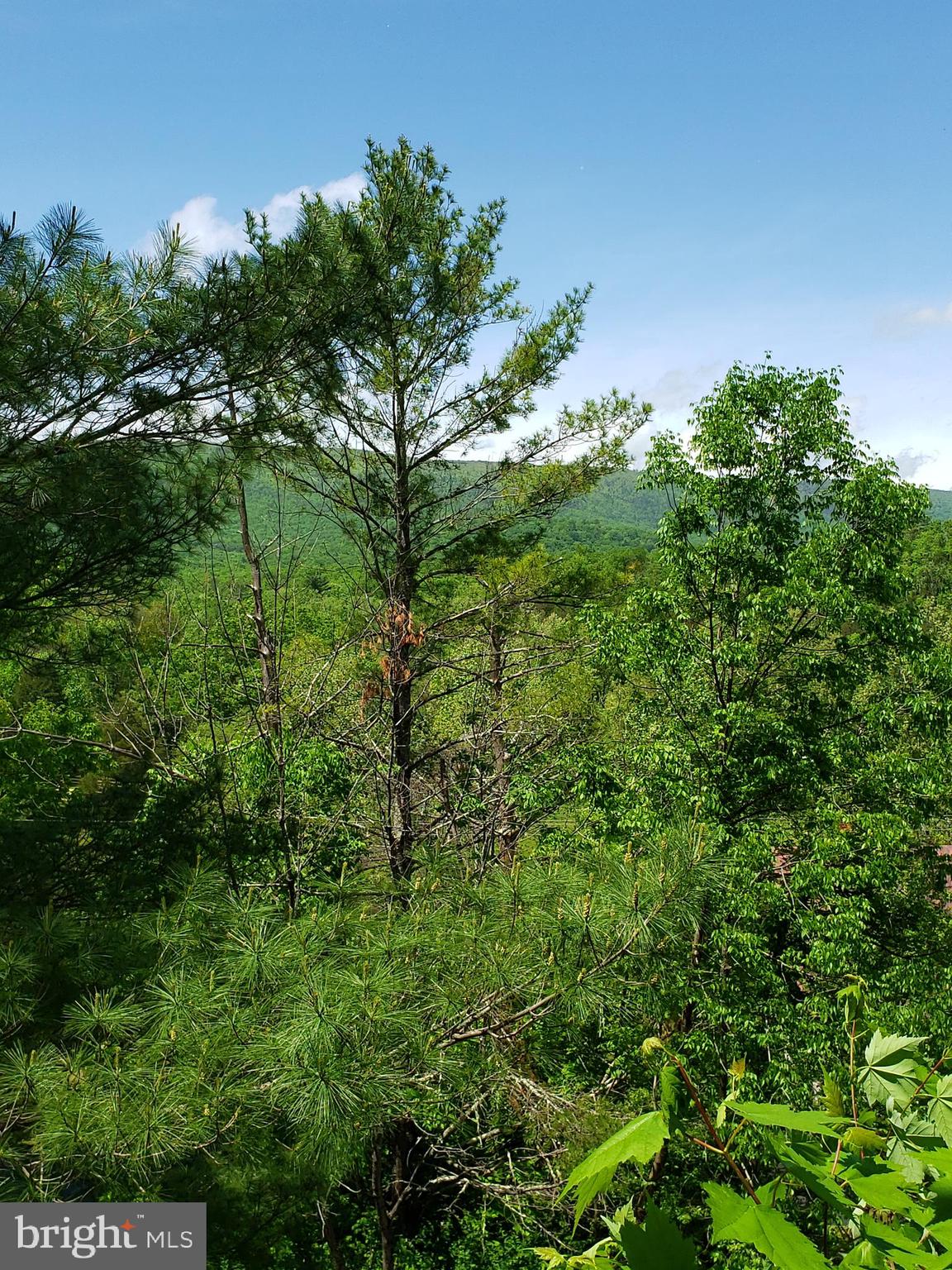 THE HILL CONDOS - Residential