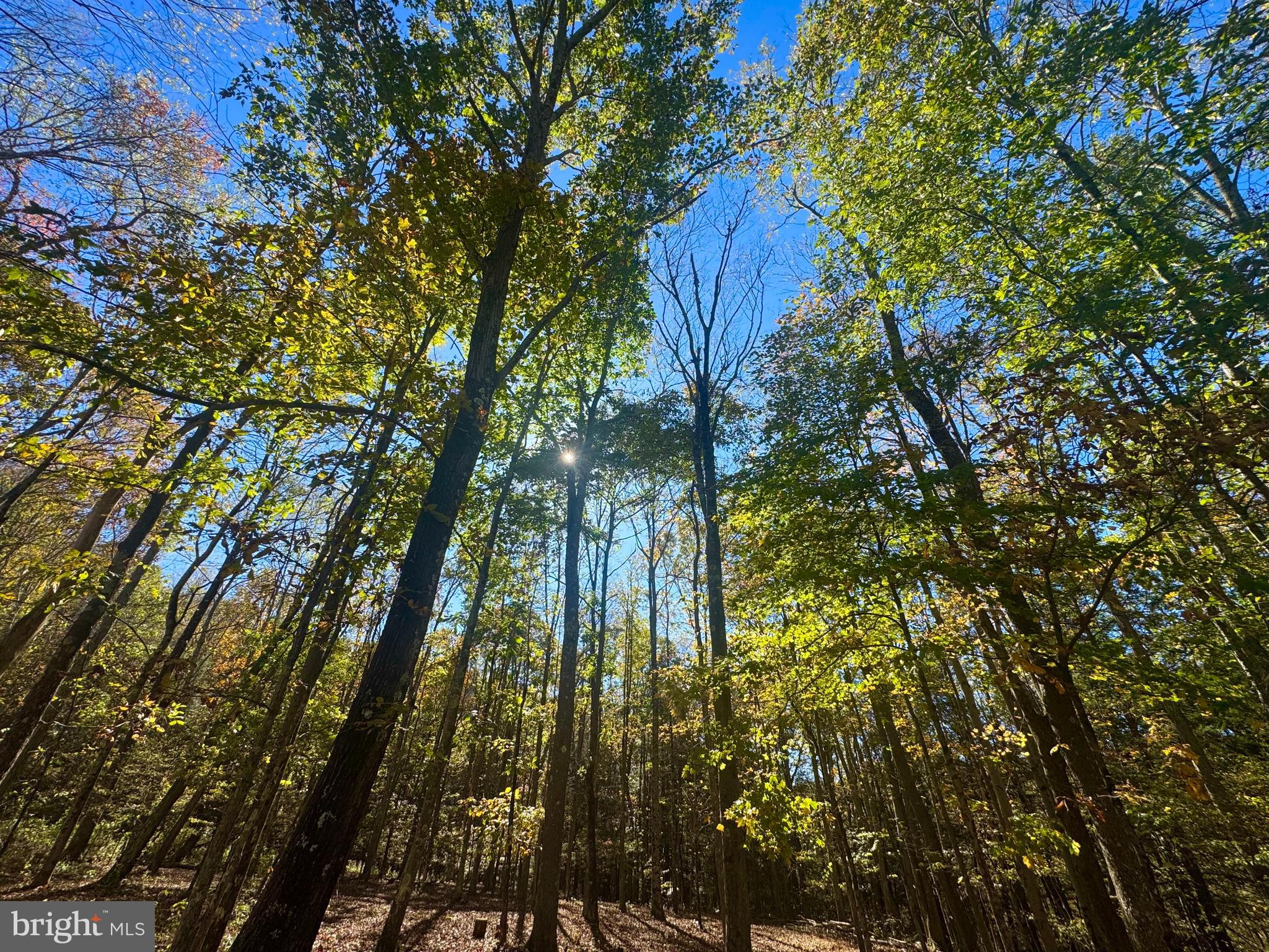 SOVERN RUN - Residential