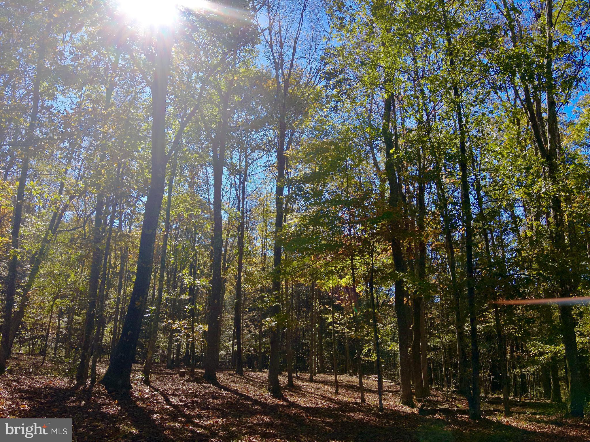 SOVERN RUN - Residential