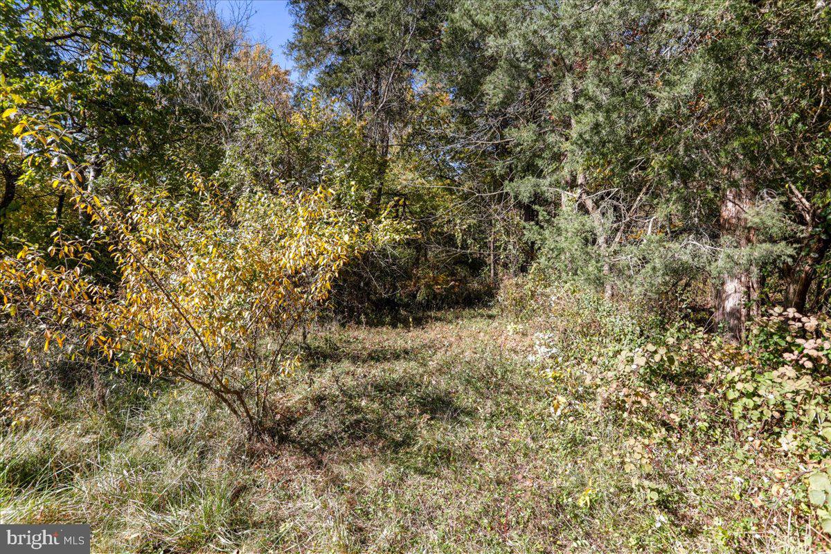 POTOMAC RIDGE - Land