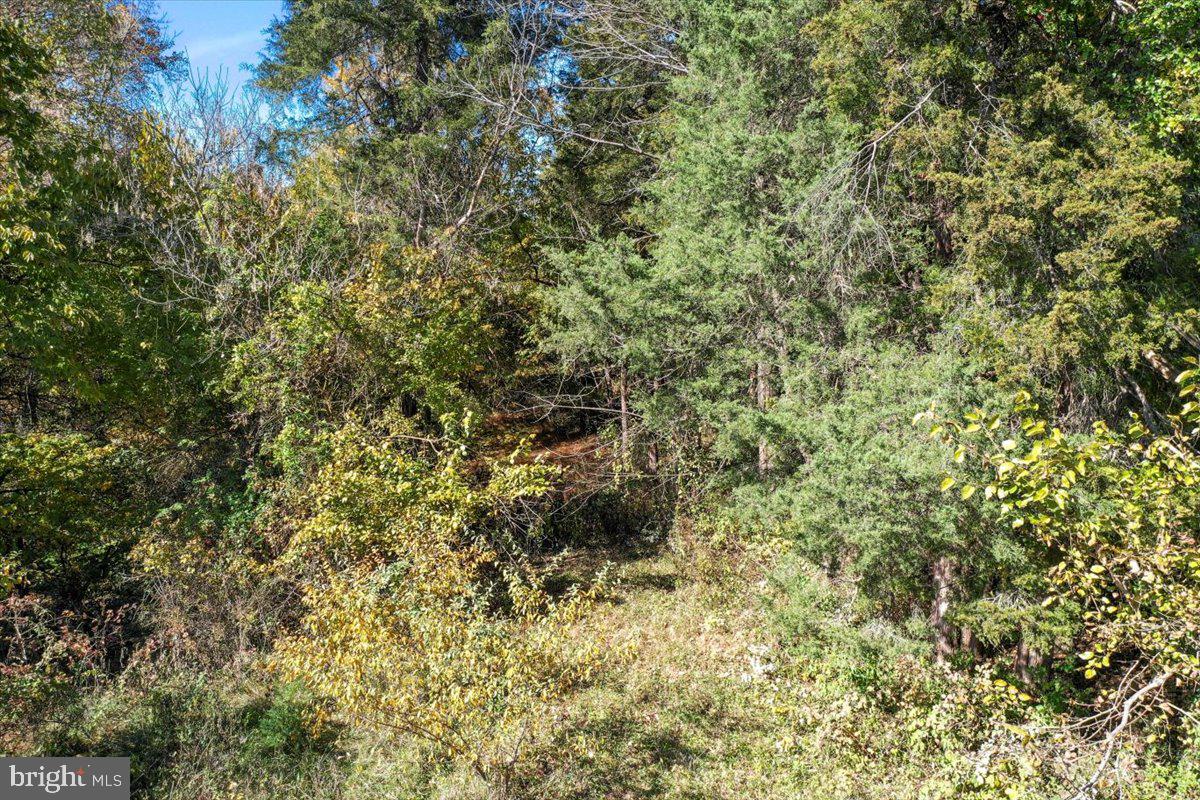 POTOMAC RIDGE - Land