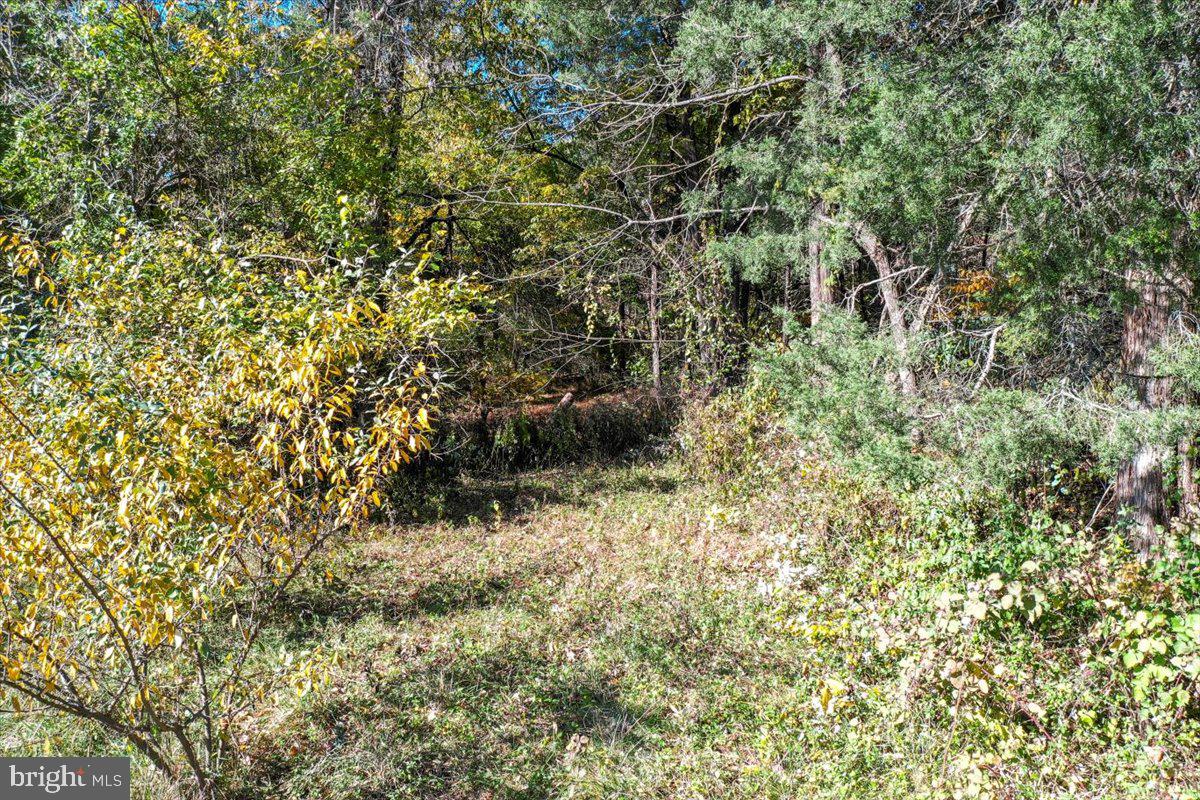 POTOMAC RIDGE - Land