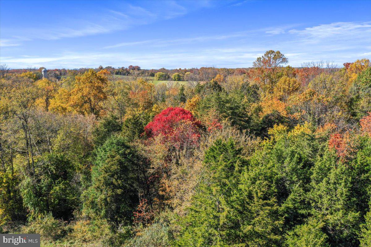 POTOMAC RIDGE - Land