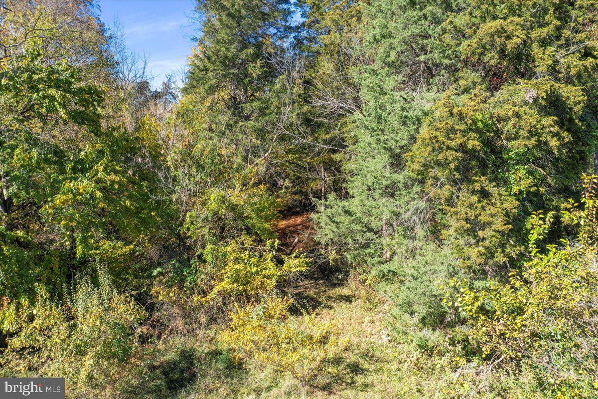 POTOMAC RIDGE - Land