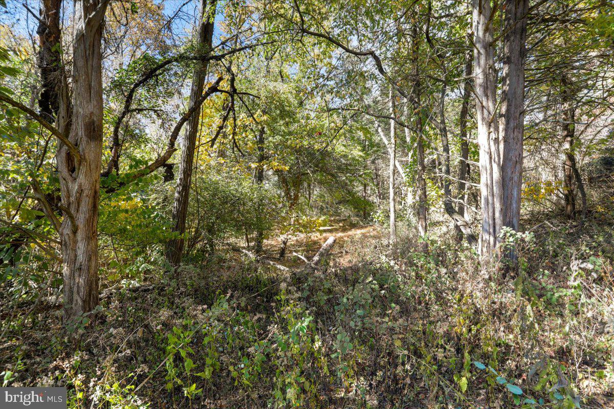 POTOMAC RIDGE - Land