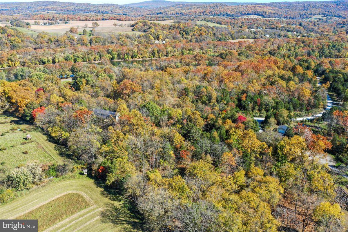 POTOMAC RIDGE - Land