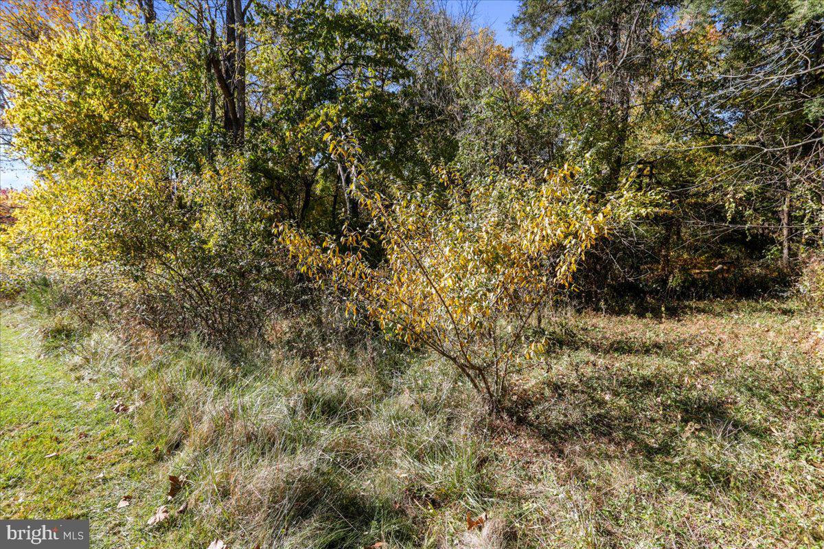 POTOMAC RIDGE - Land