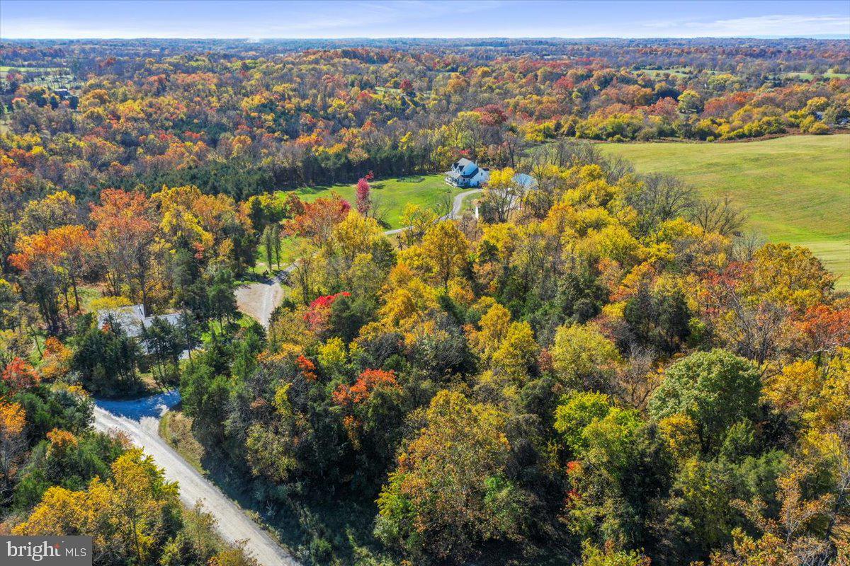 POTOMAC RIDGE - Land