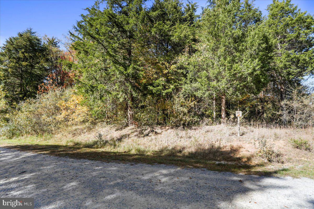 POTOMAC RIDGE - Land