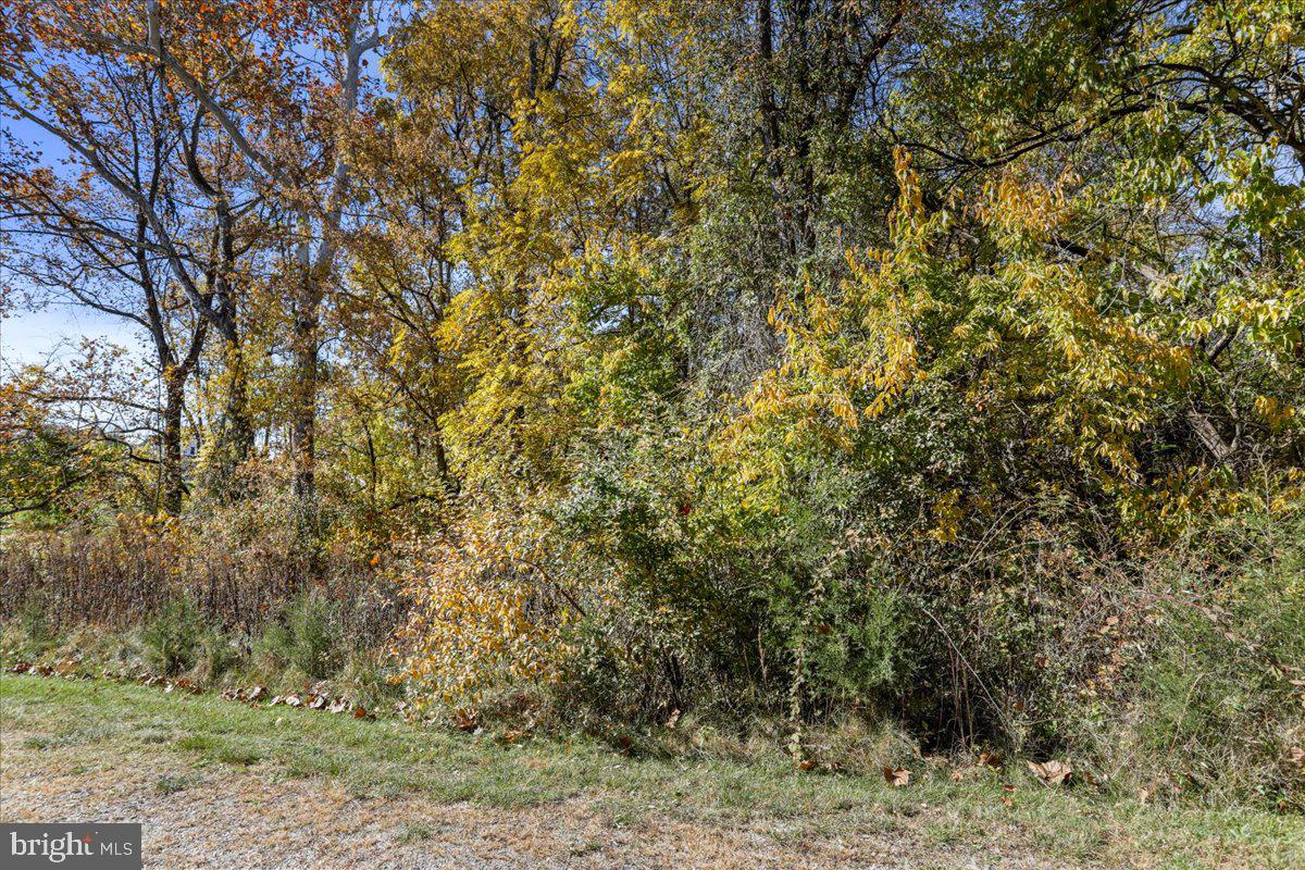 POTOMAC RIDGE - Land