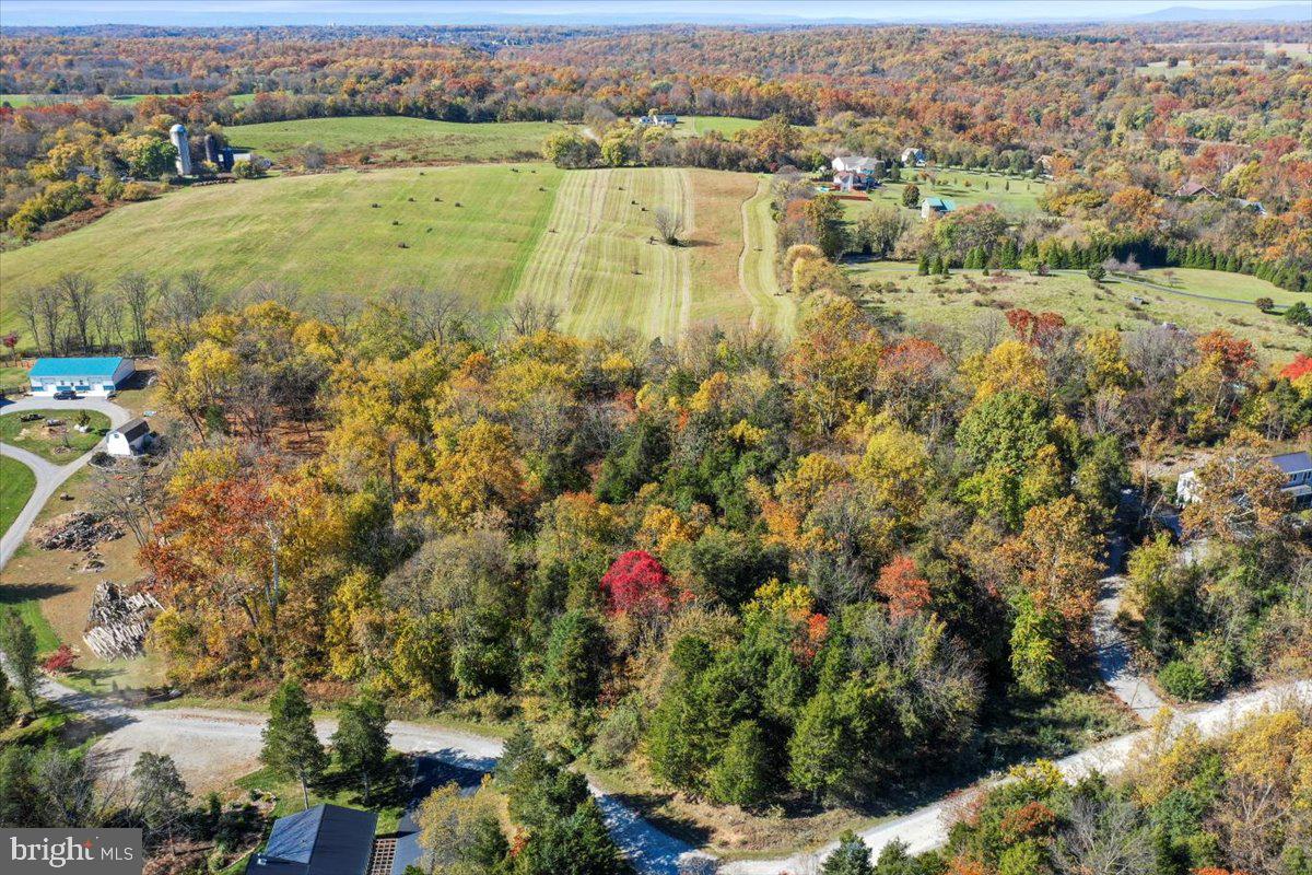 POTOMAC RIDGE - Land