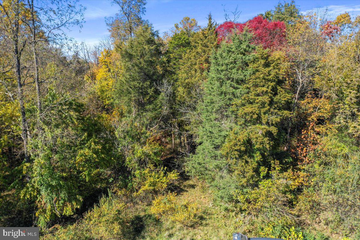 POTOMAC RIDGE - Land