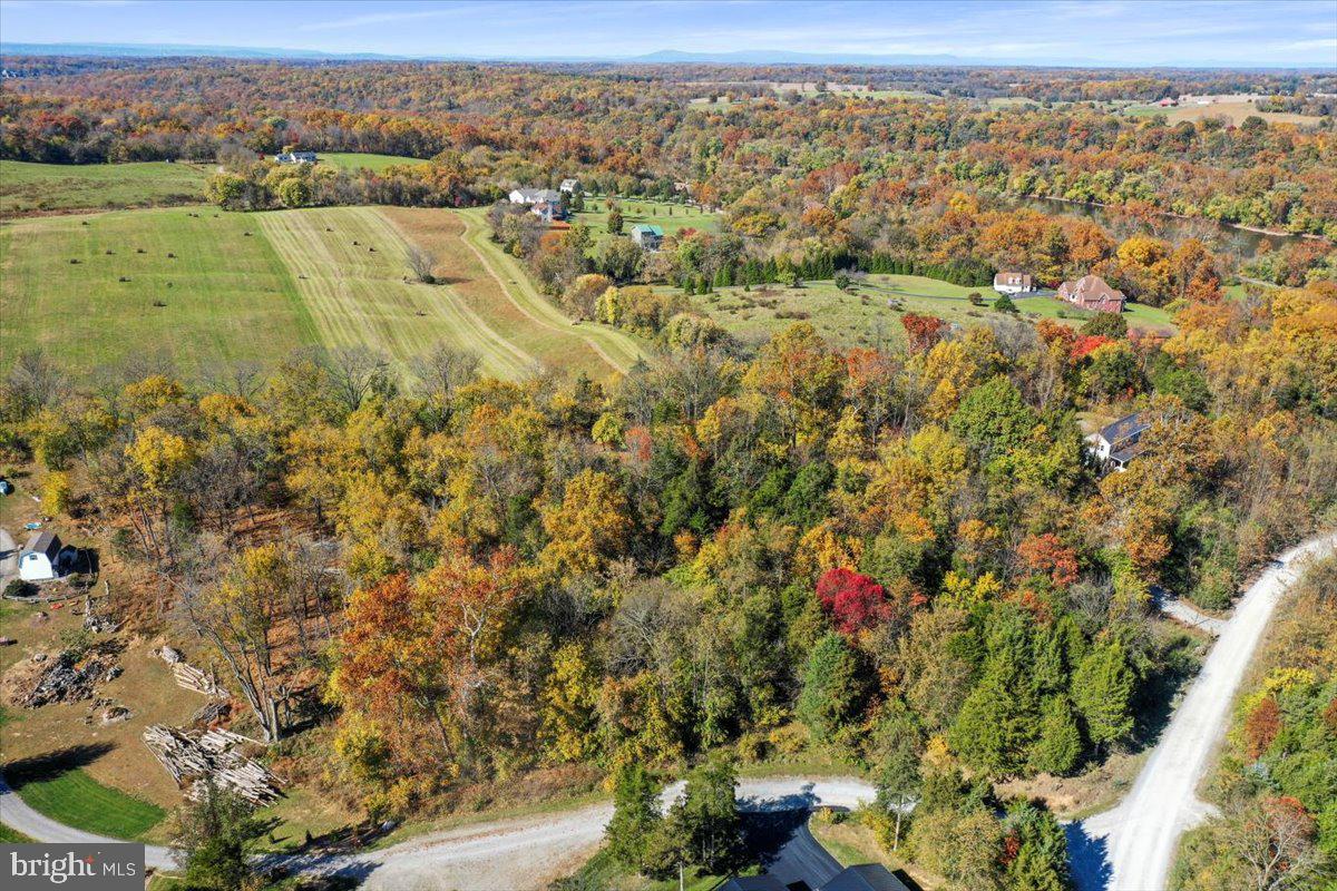 POTOMAC RIDGE - Land