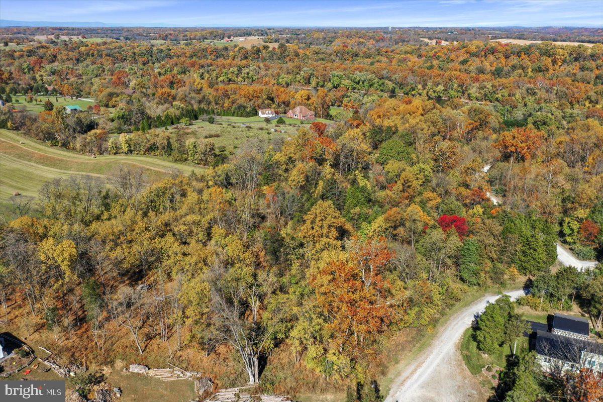 POTOMAC RIDGE - Land