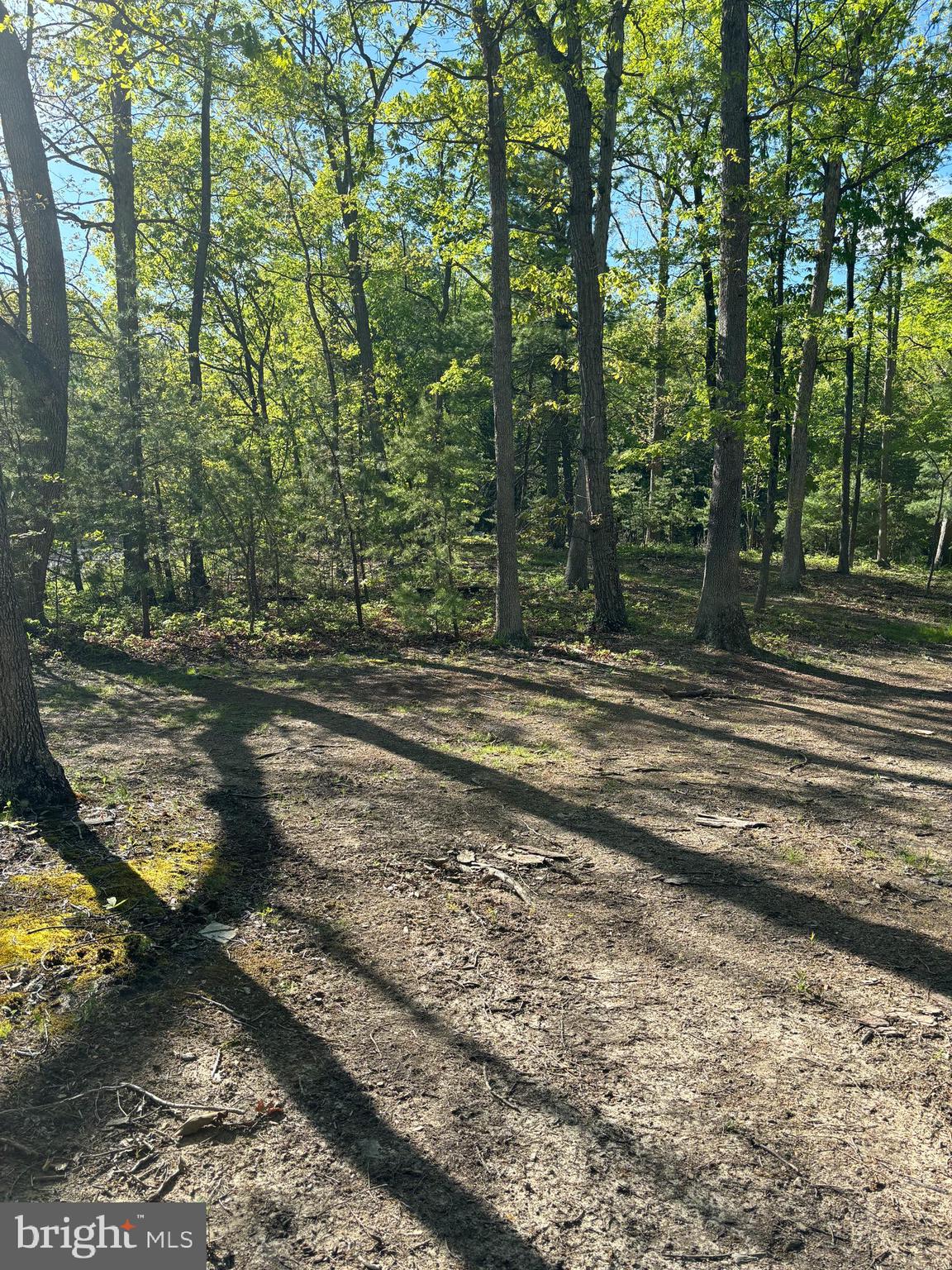 CRESCENT CROSSING - Land