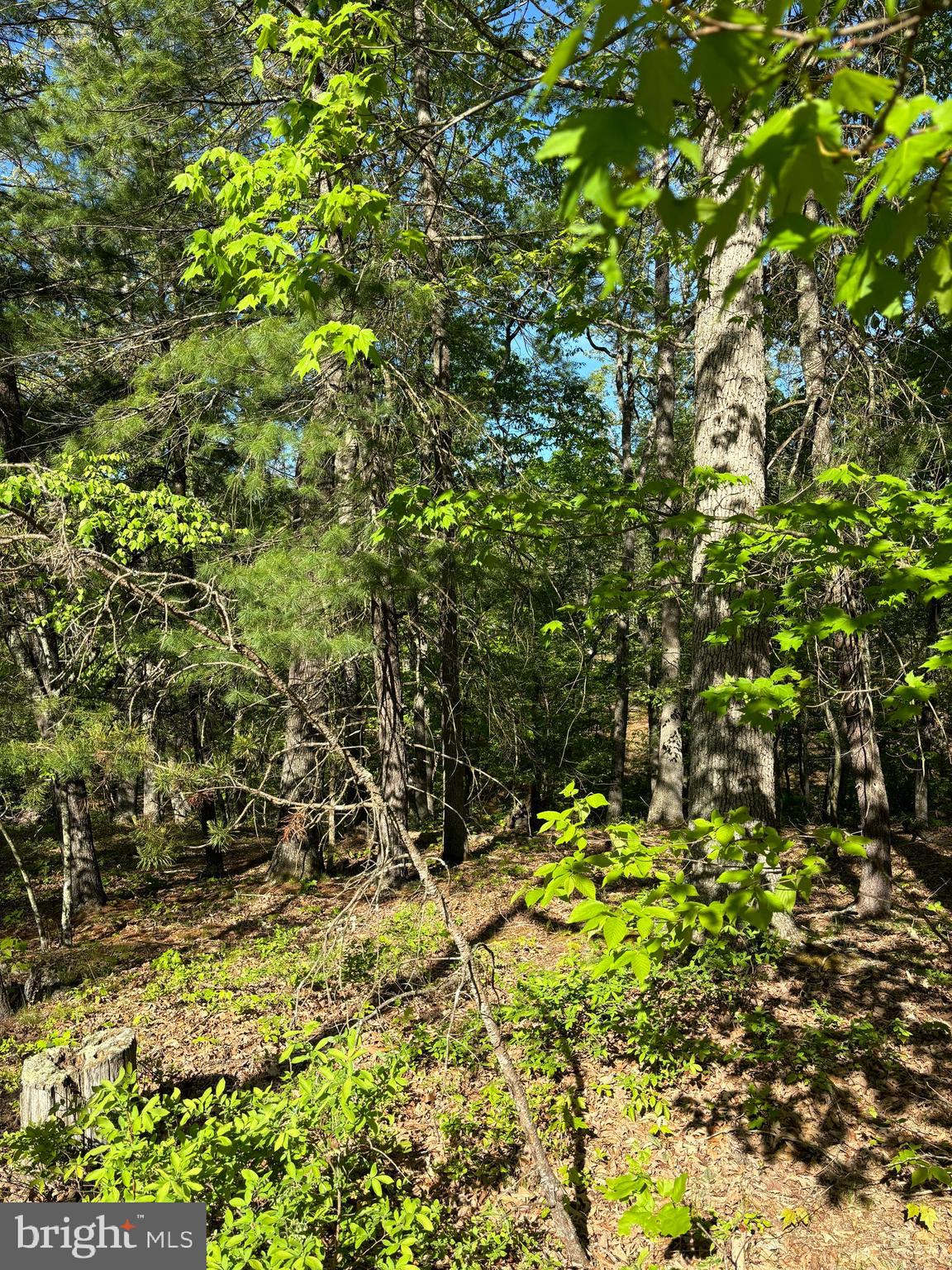 CRESCENT CROSSING - Land