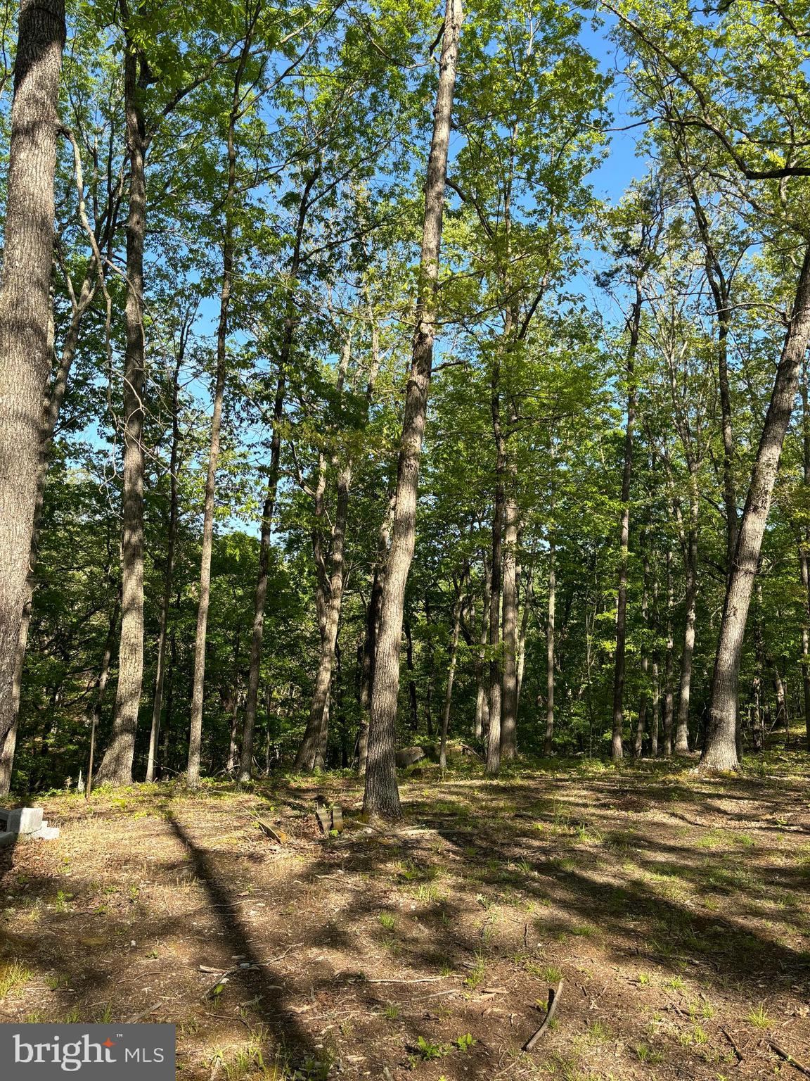 CRESCENT CROSSING - Land