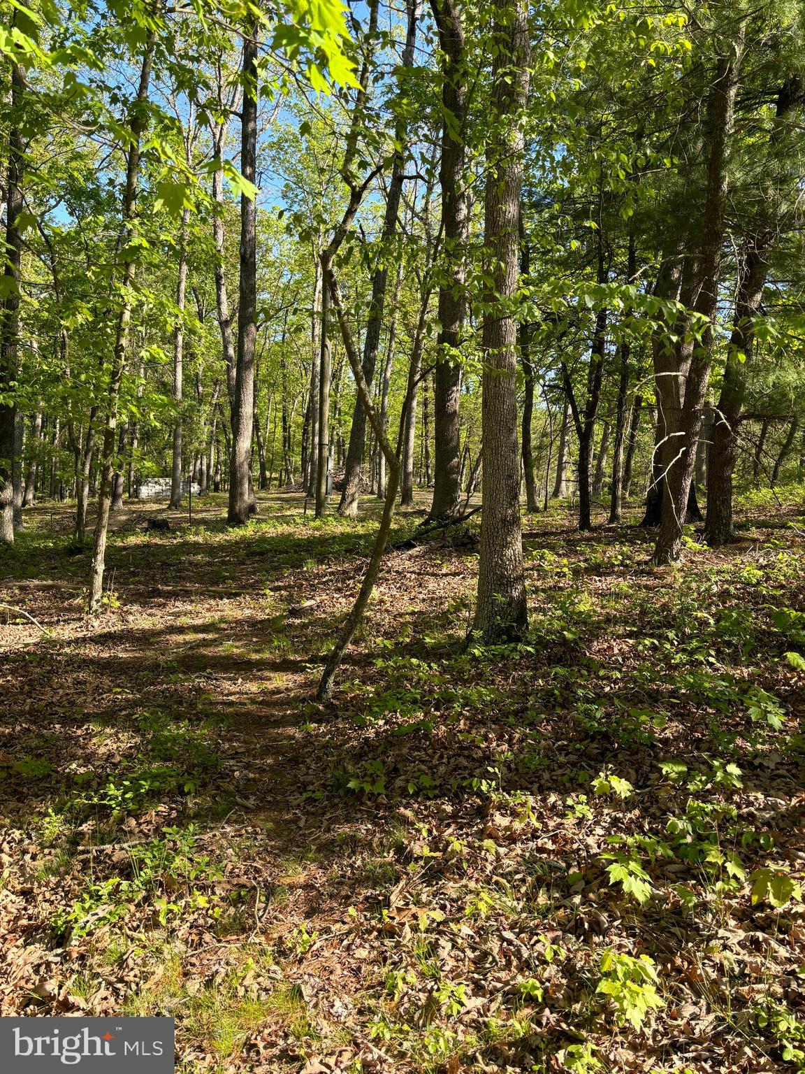 CRESCENT CROSSING - Land