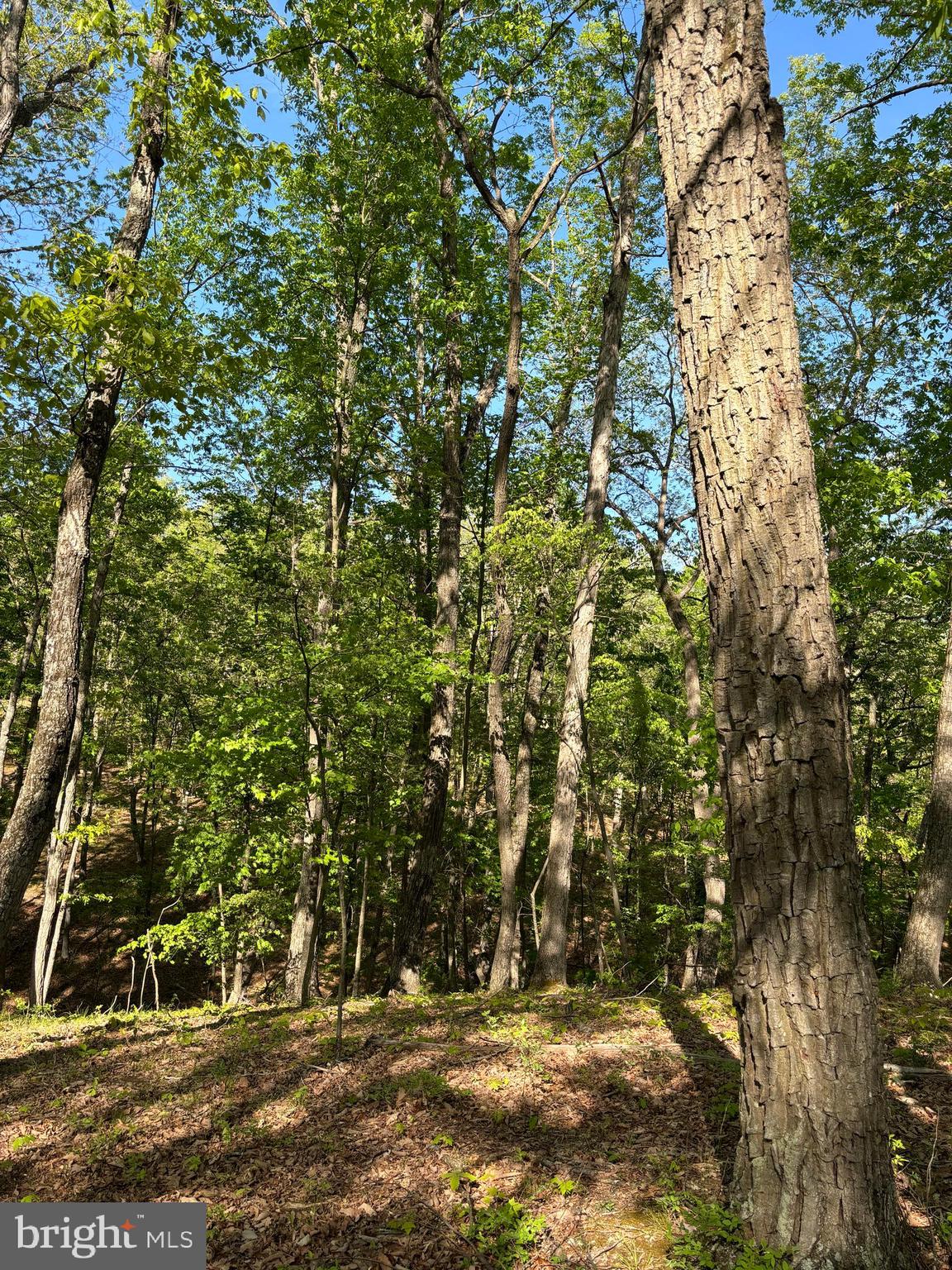 CRESCENT CROSSING - Land