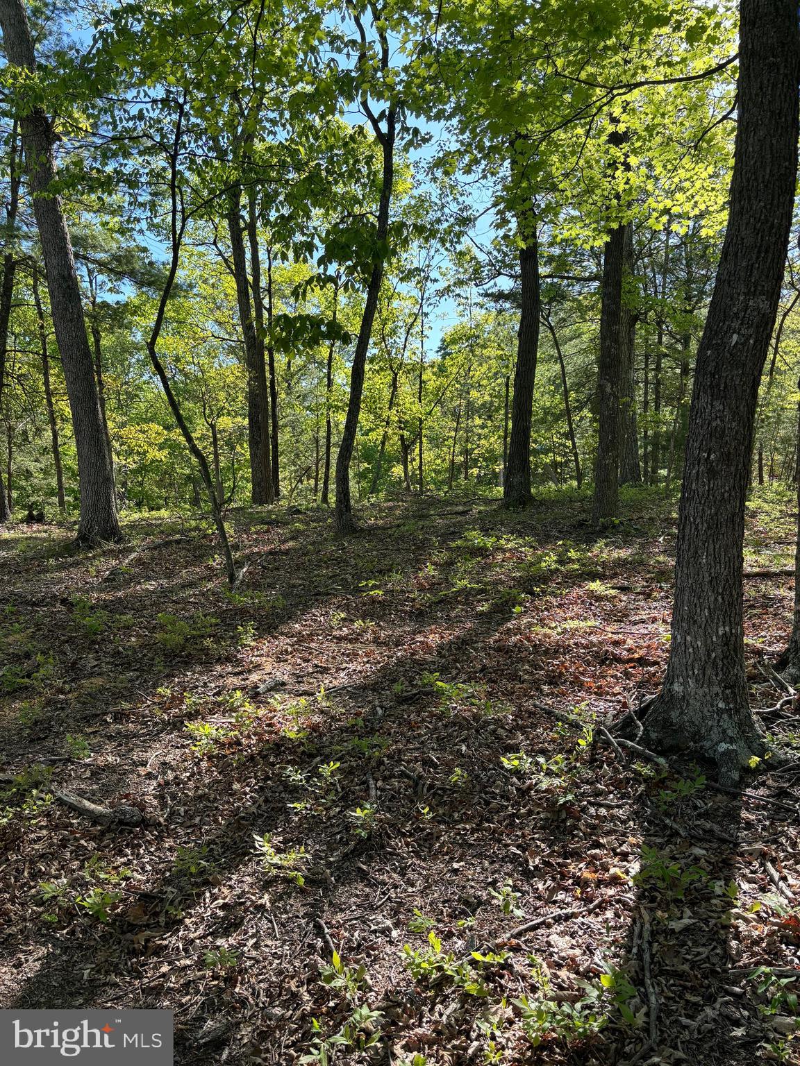 CRESCENT CROSSING - Land