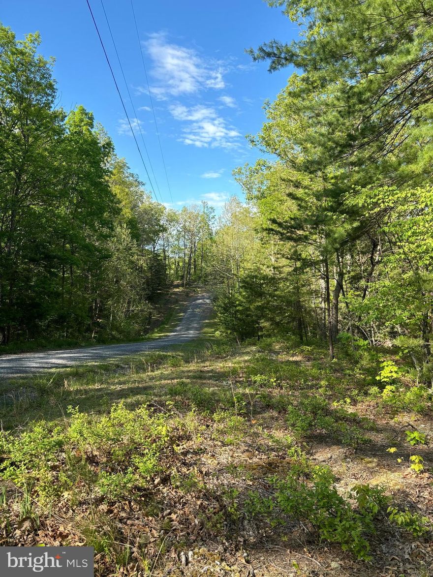 REDUCED NEW PRICE, PRICED TO SELL, SO DON'T WAIT TOO LONG ON THIS GREAT PROPERTY IF YOUR LOOKING FOR A LITTLE LAND WITH A WELL, IN THE MOUNTAINS OF WV, 45 MINUTES FROM WINCHESTER, THAT IS IN A MANUFACTURED FRIENDLY SMALL COMMUNITY IN DELRAY, WV WHICH HAS THE ADDRESS OF AUGUSTA, BUT ON THE DELRAY AREA, THEN   THIS COULD BE IT, THIS 4 ACRE LOT HAS A WELL AND ON A CORNOR LOT, PARTLY CLEARED WAITING FOR SOMEONES DREAM TO COME TRUE WITH A BEAUTIFUL, TRANQUIL LOT WITH WILDLIFE IN YOUR BACK VIEW DRINKING FROM THE WET WEATHER STREAM.  THIS IS A HOA COMMUNITY WHICH TAKES AMAZING CARE OF THE ROADS IN GOOD AND BAD WEATHER.