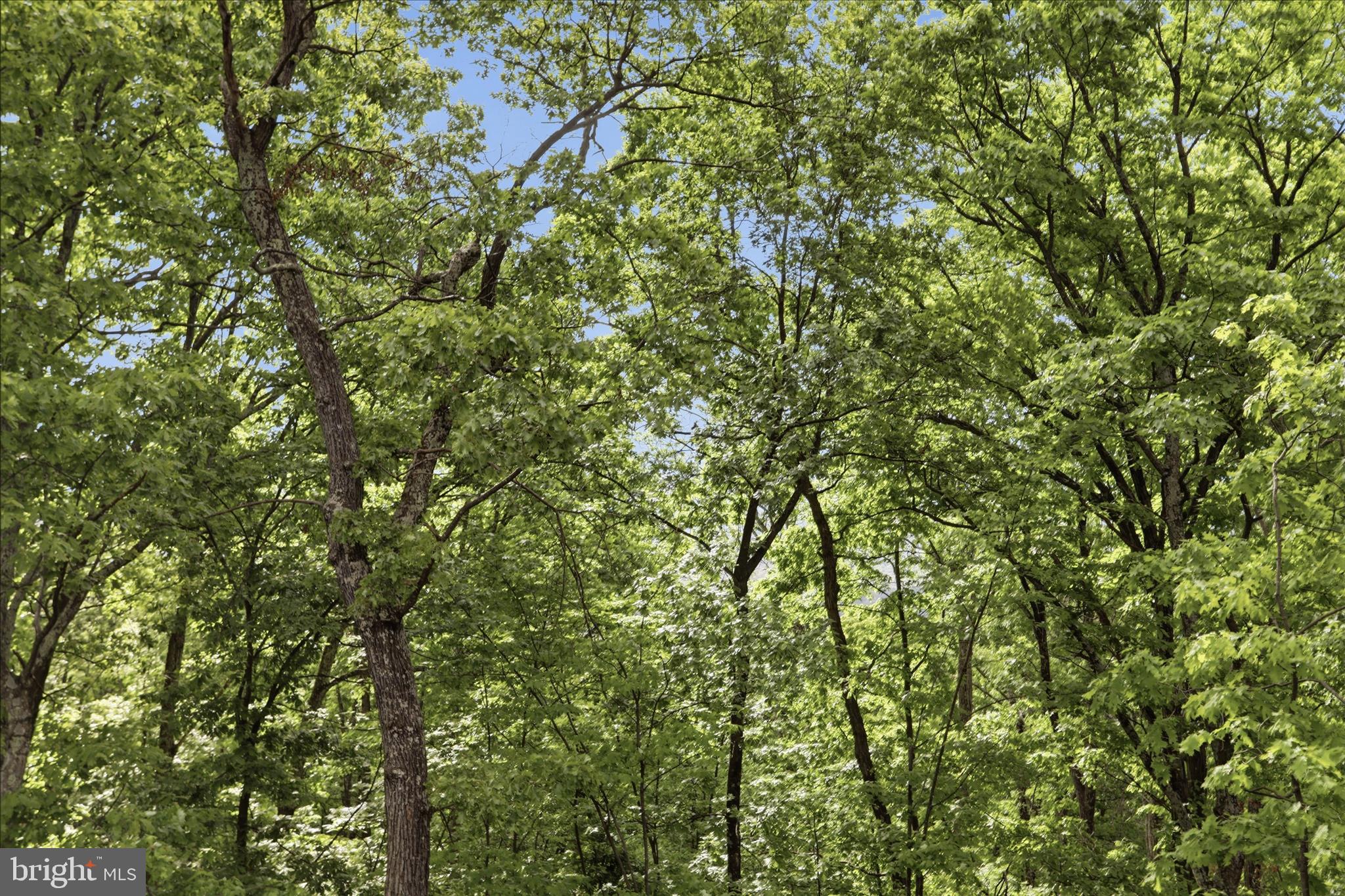 VALLEY HIGH TIMBER FARMS - Residential