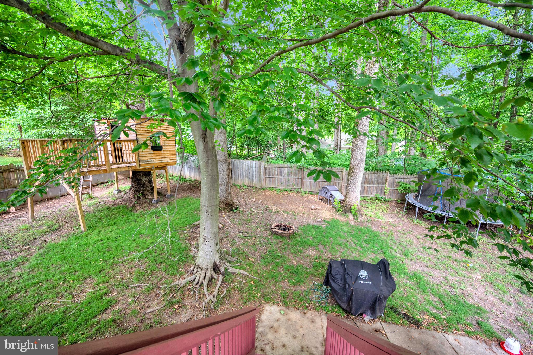 PLANTATION FOREST - Residential