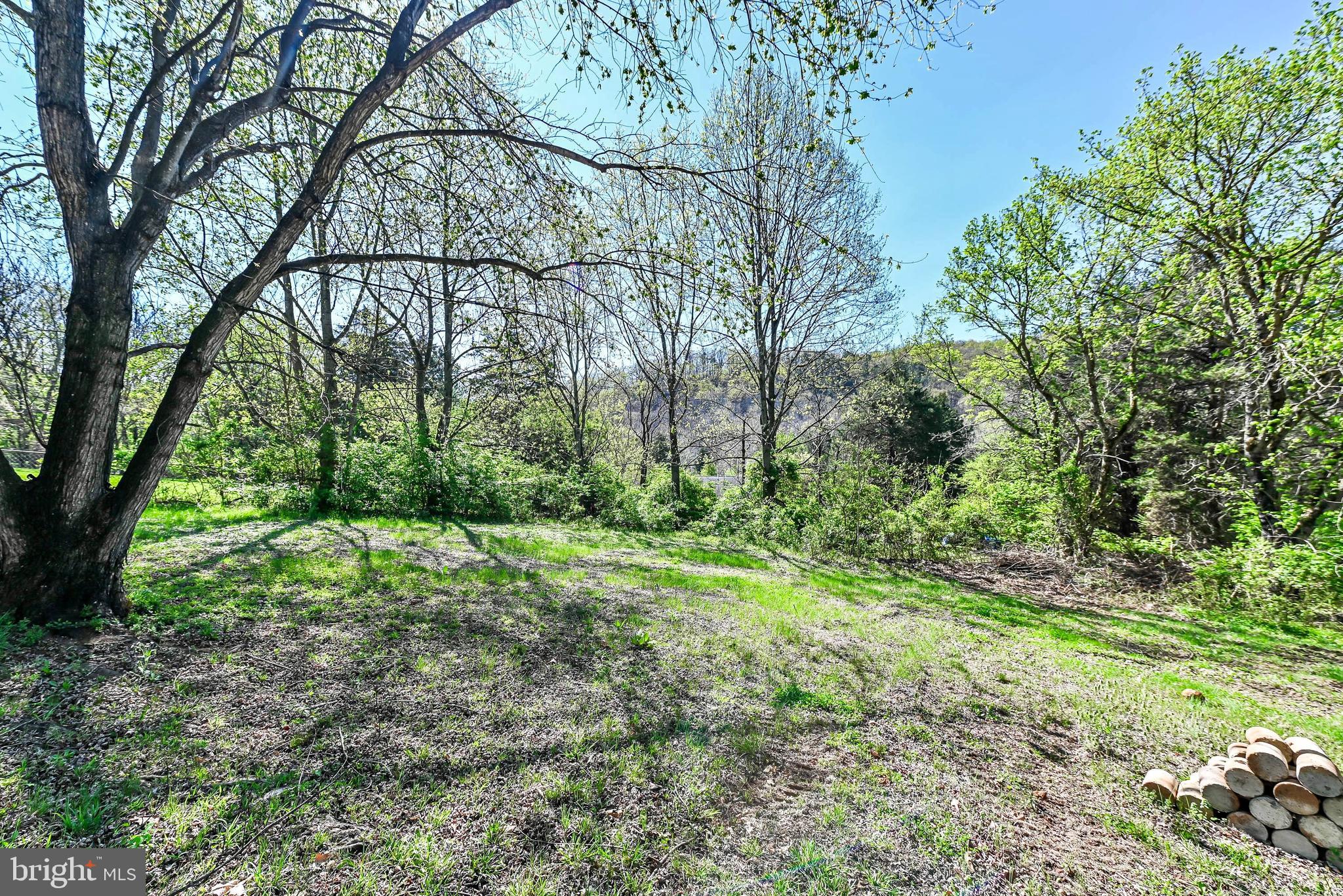 SHENANDOAH FARMS - Residential