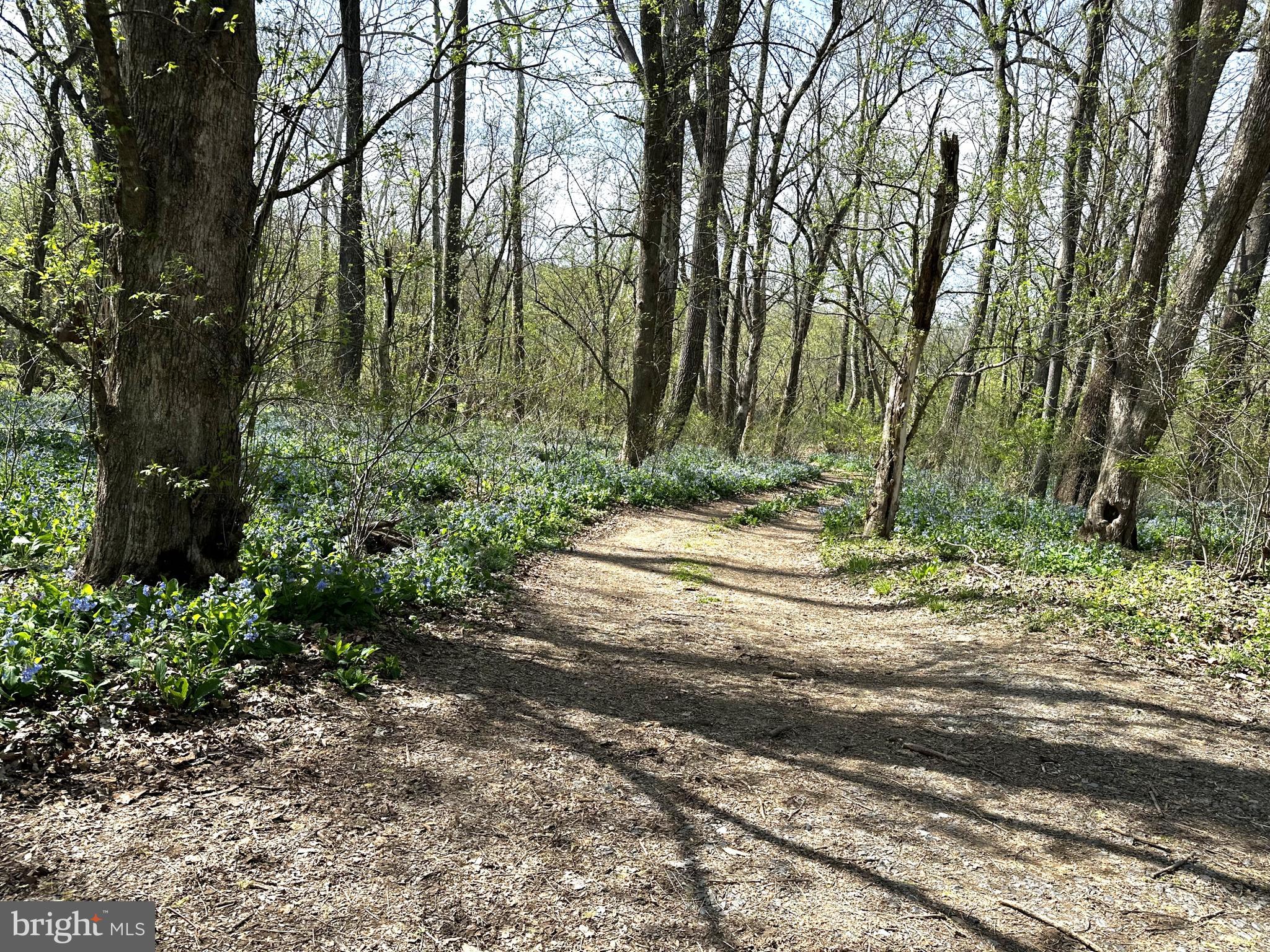 SHENANDOAH FARMS - Residential