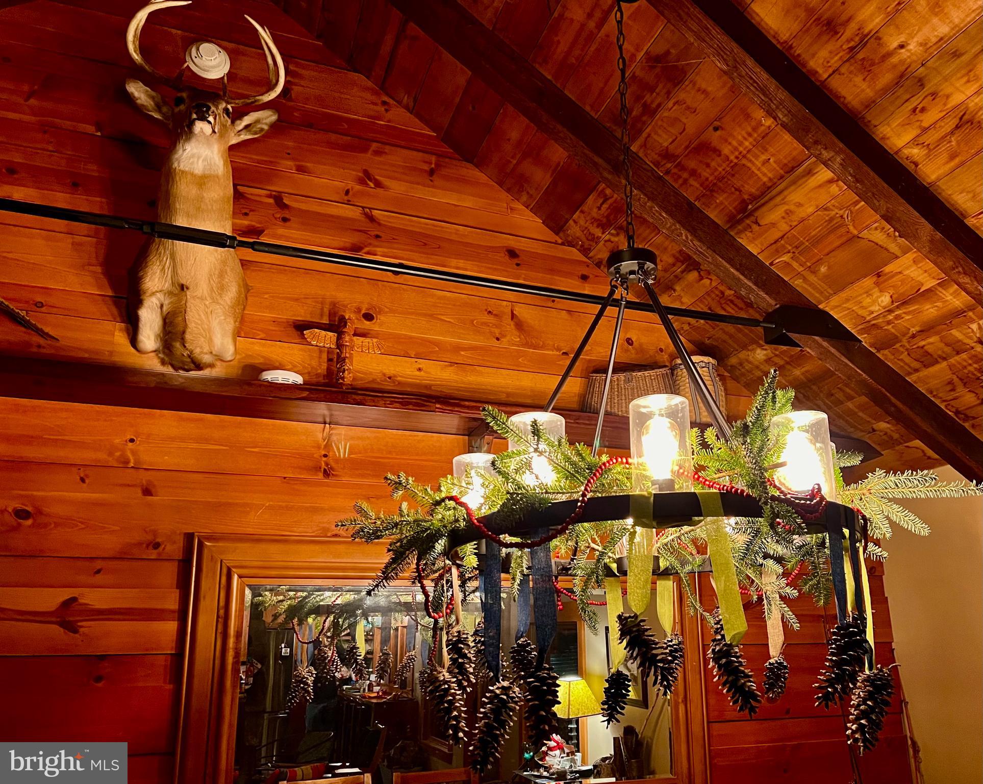 BOY SCOUT ROAD - Residential