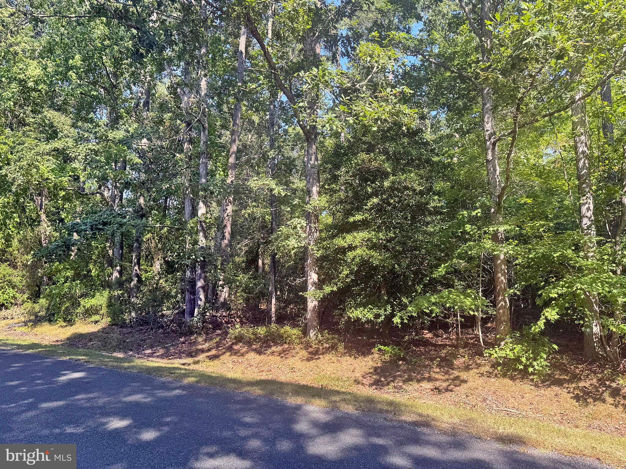 Lot 1976 MAYFLOWER DRIVE