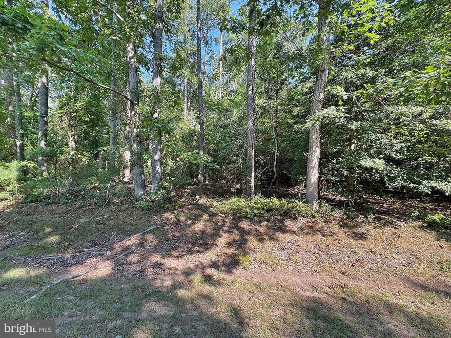 Schedule your trip to the resort community of Captain's Cove to come and see this great lot. Just under a quarter of an acre and ready to be the location of your new home! Enjoy all that Captain's Cove has to offer. The many amenities include 2 outdoor pools & 1 indoor pool, tennis courts, the community marina & boat ramp, exercise room, the playground & restaurant at the Marina Club. Minutes to the beach! Just a short ride to Ocean City, MD, Chincoteague Island or Assateague Island.