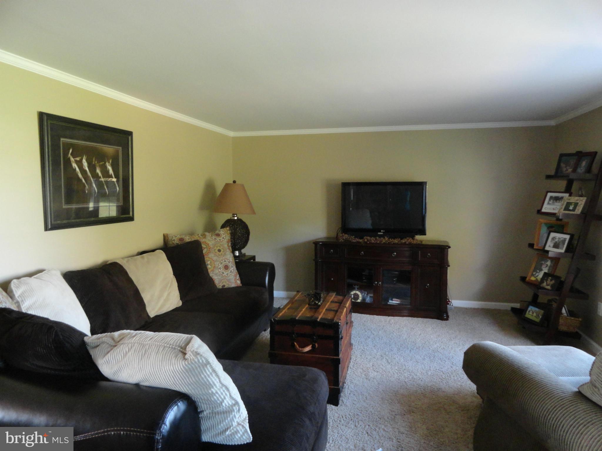 LUCKY SHOE RANCHETTES - Residential Lease